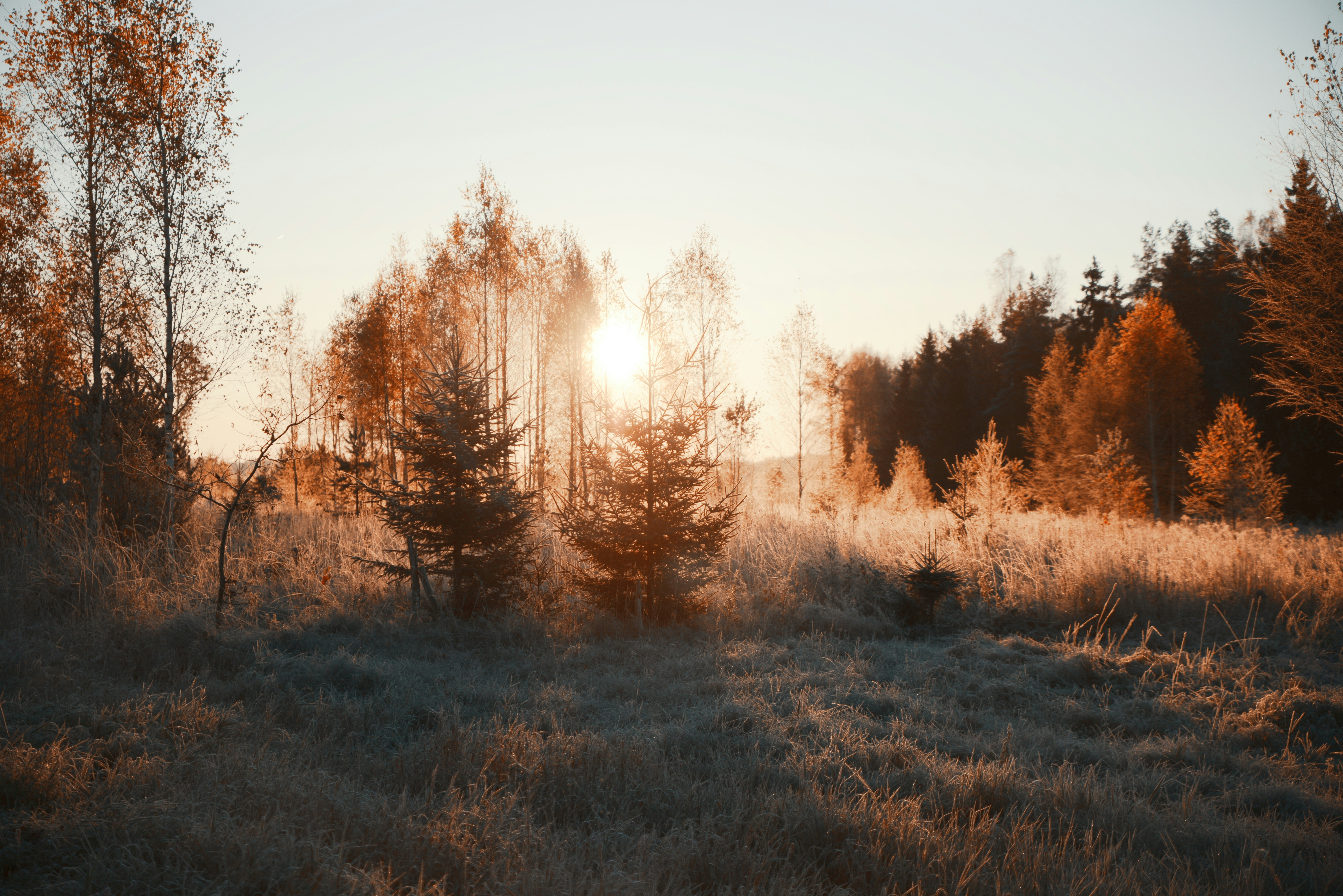 Photo by anitaaustvika