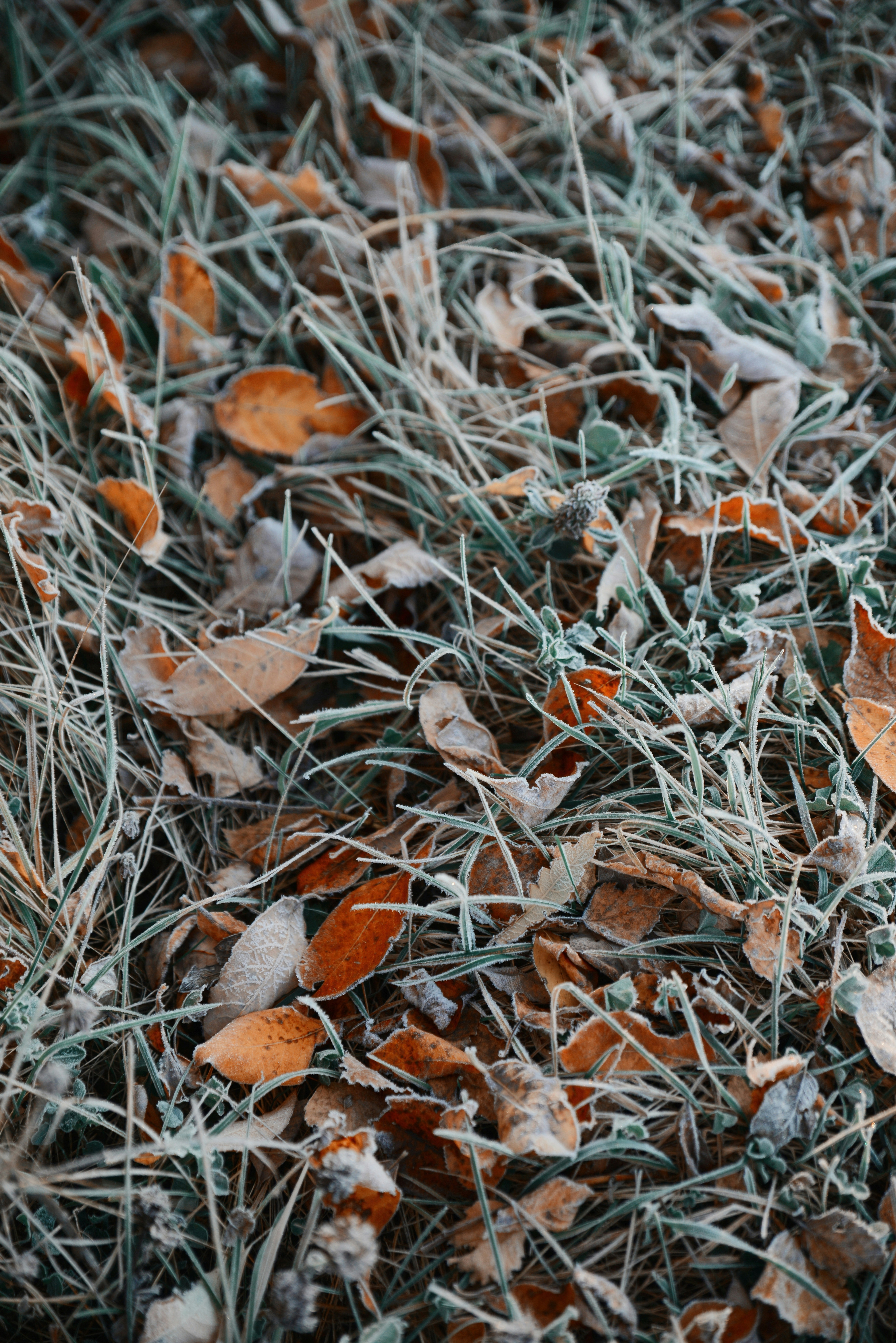 Photo by anitaaustvika