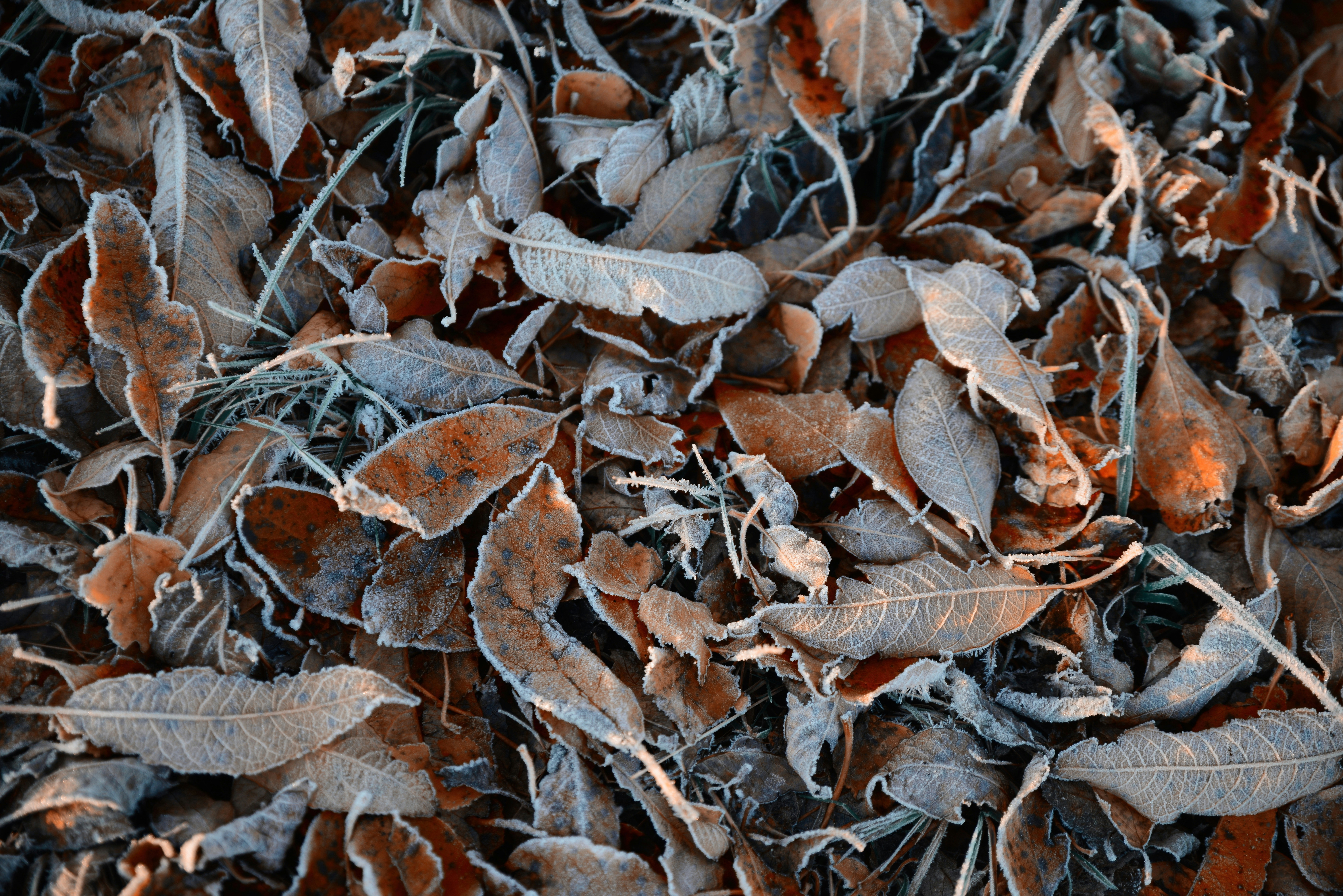 Photo by anitaaustvika