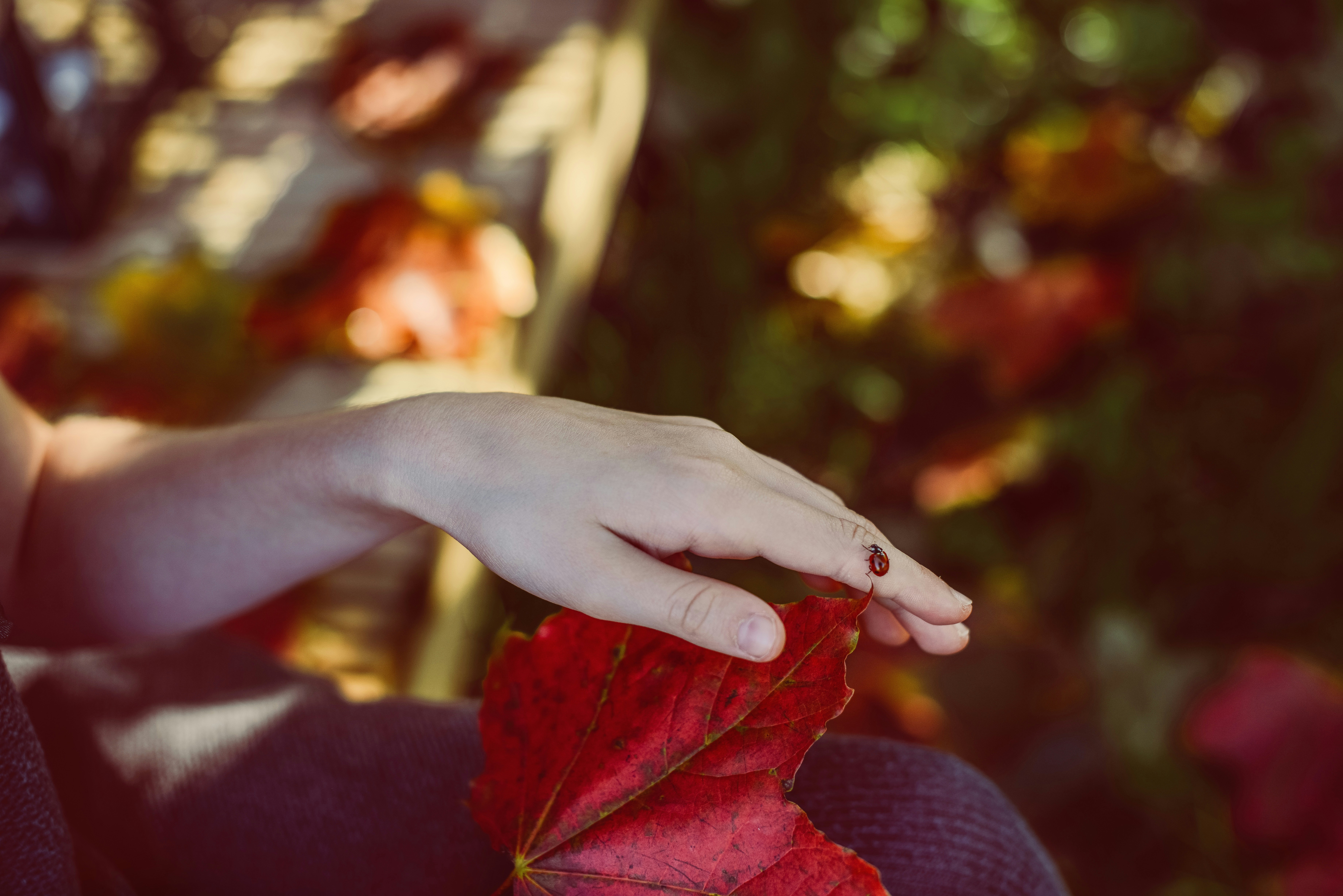 Photo by anitaaustvika