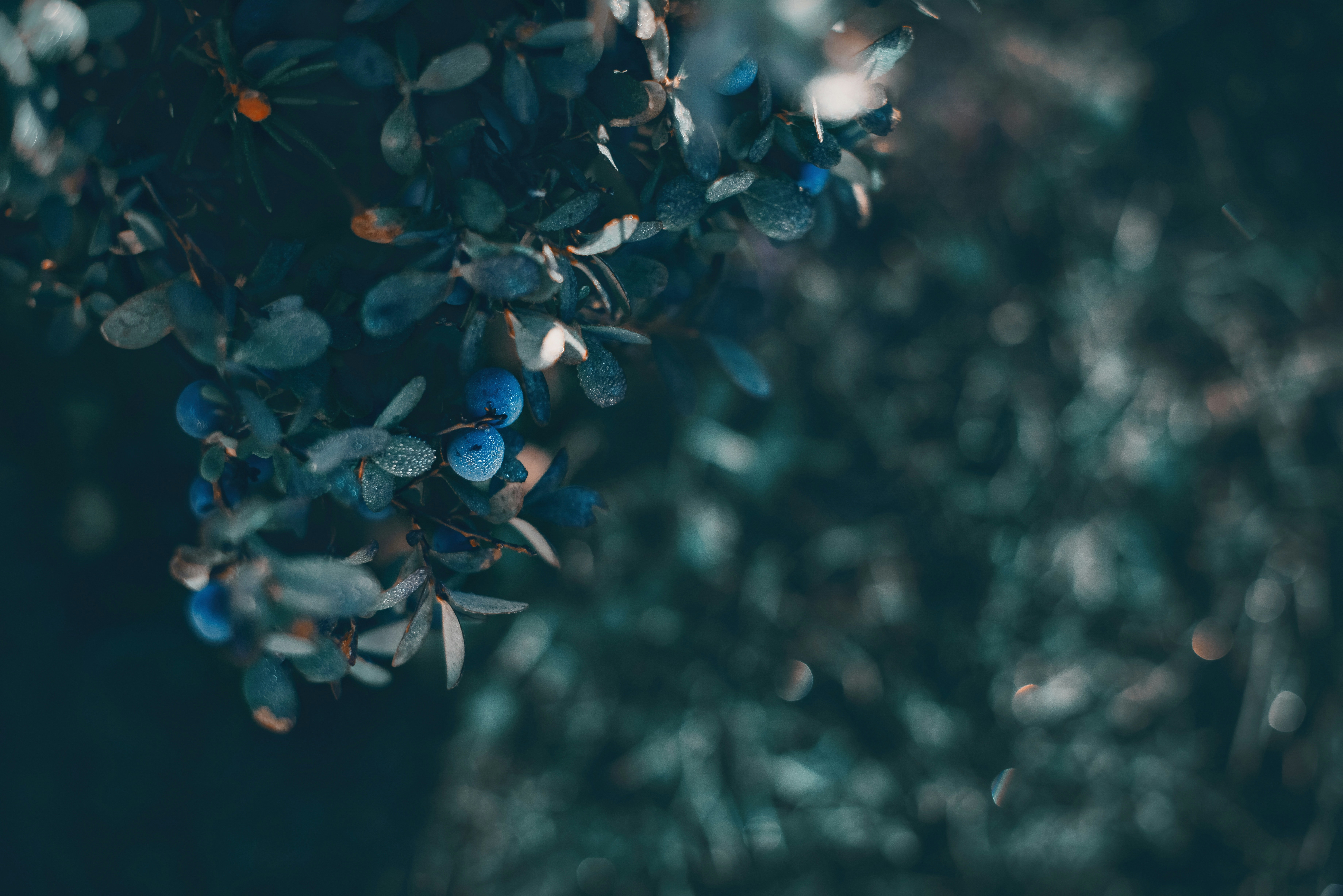 Photo by anitaaustvika