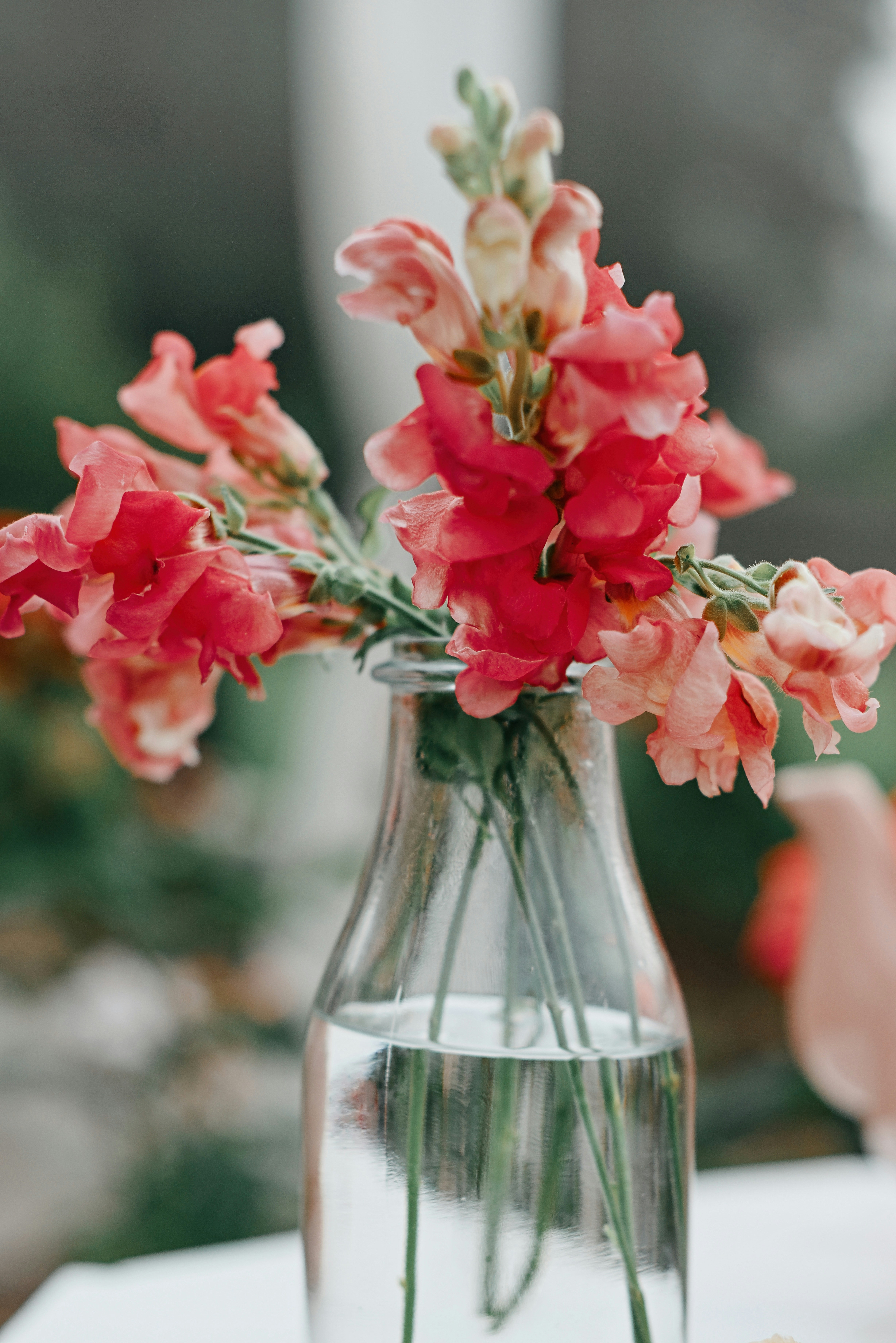 Photo by anitaaustvika