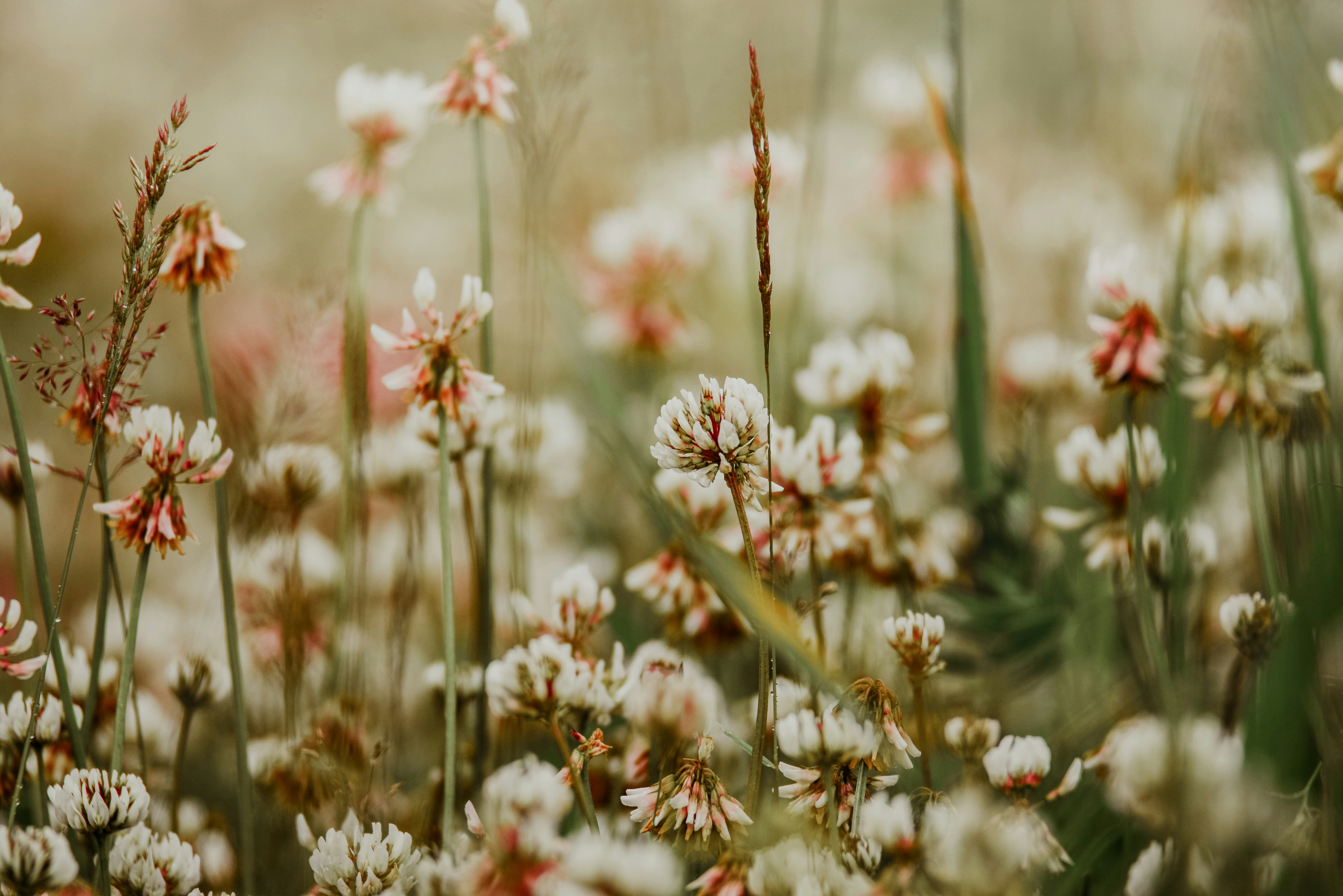 Photo by anitaaustvika