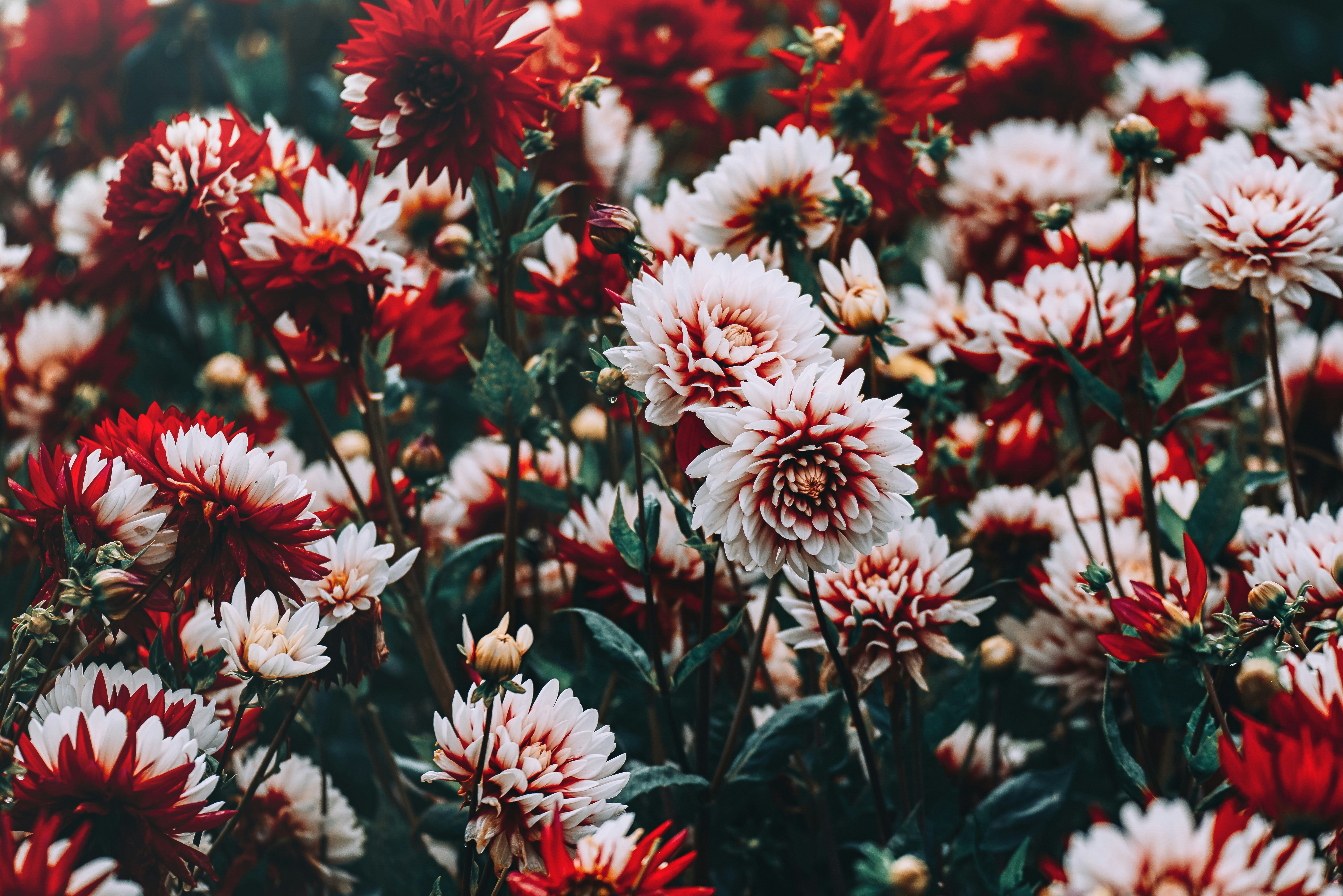 Photo by anitaaustvika