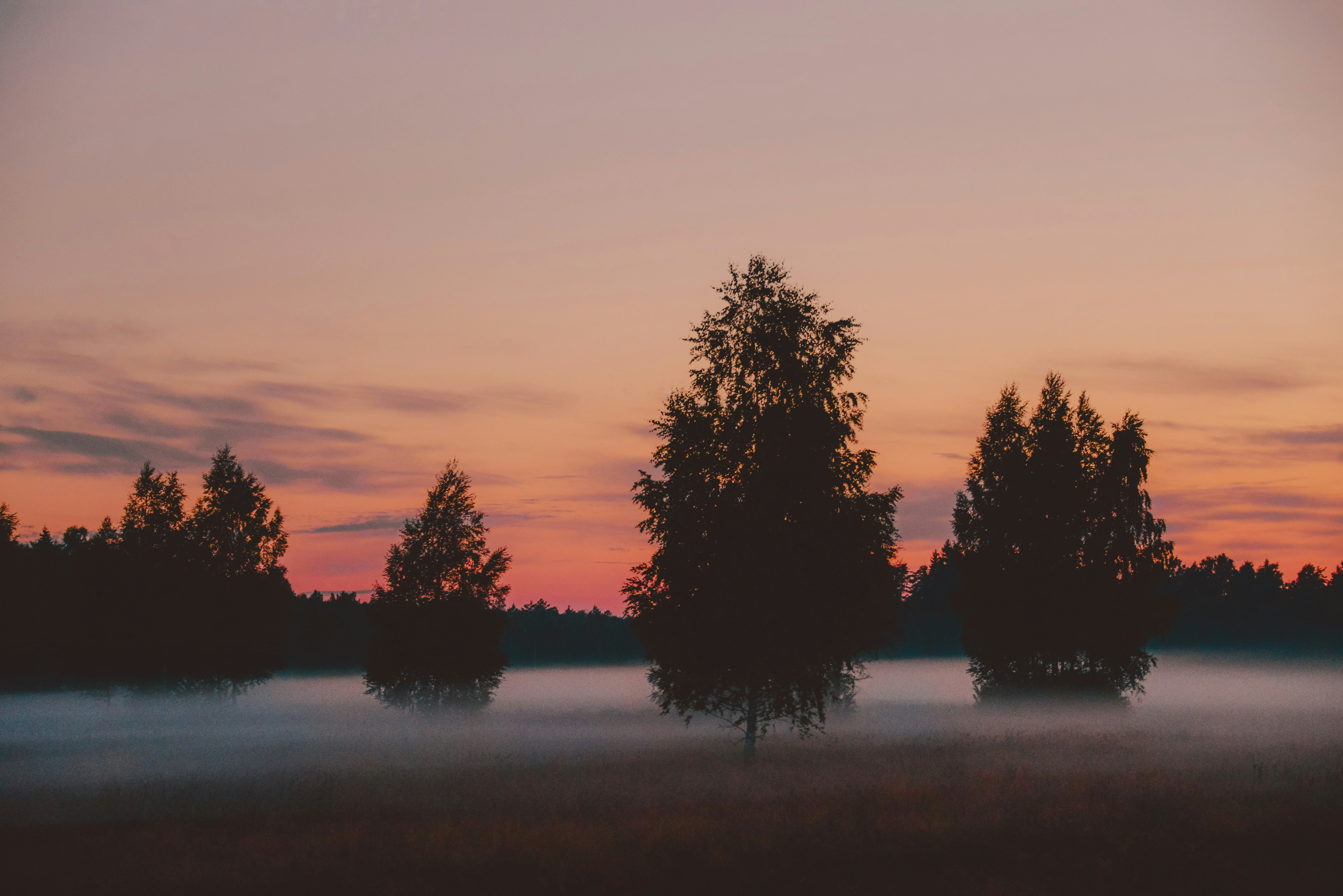 Photo by anitaaustvika