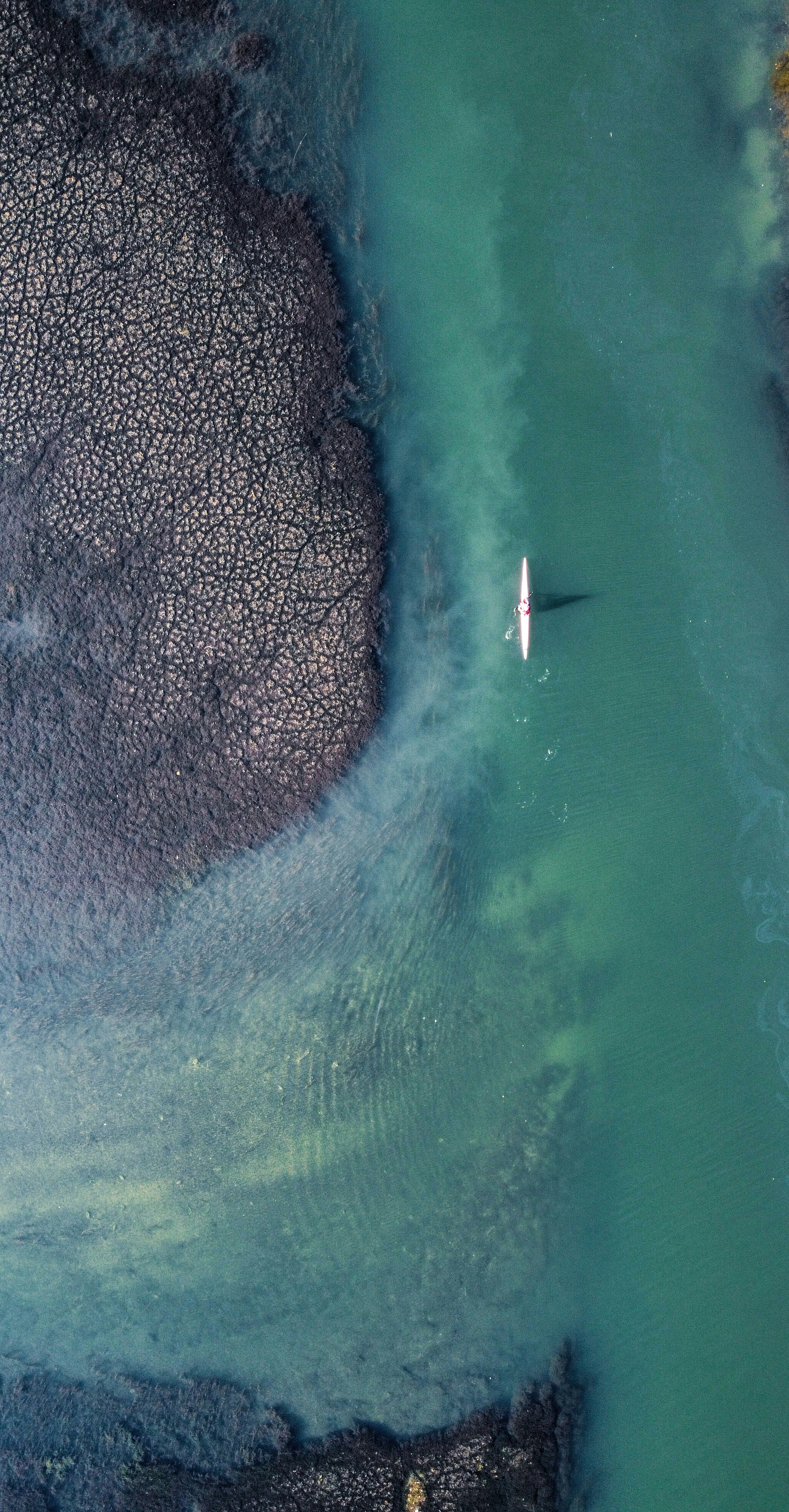 Photo by vencislavsh