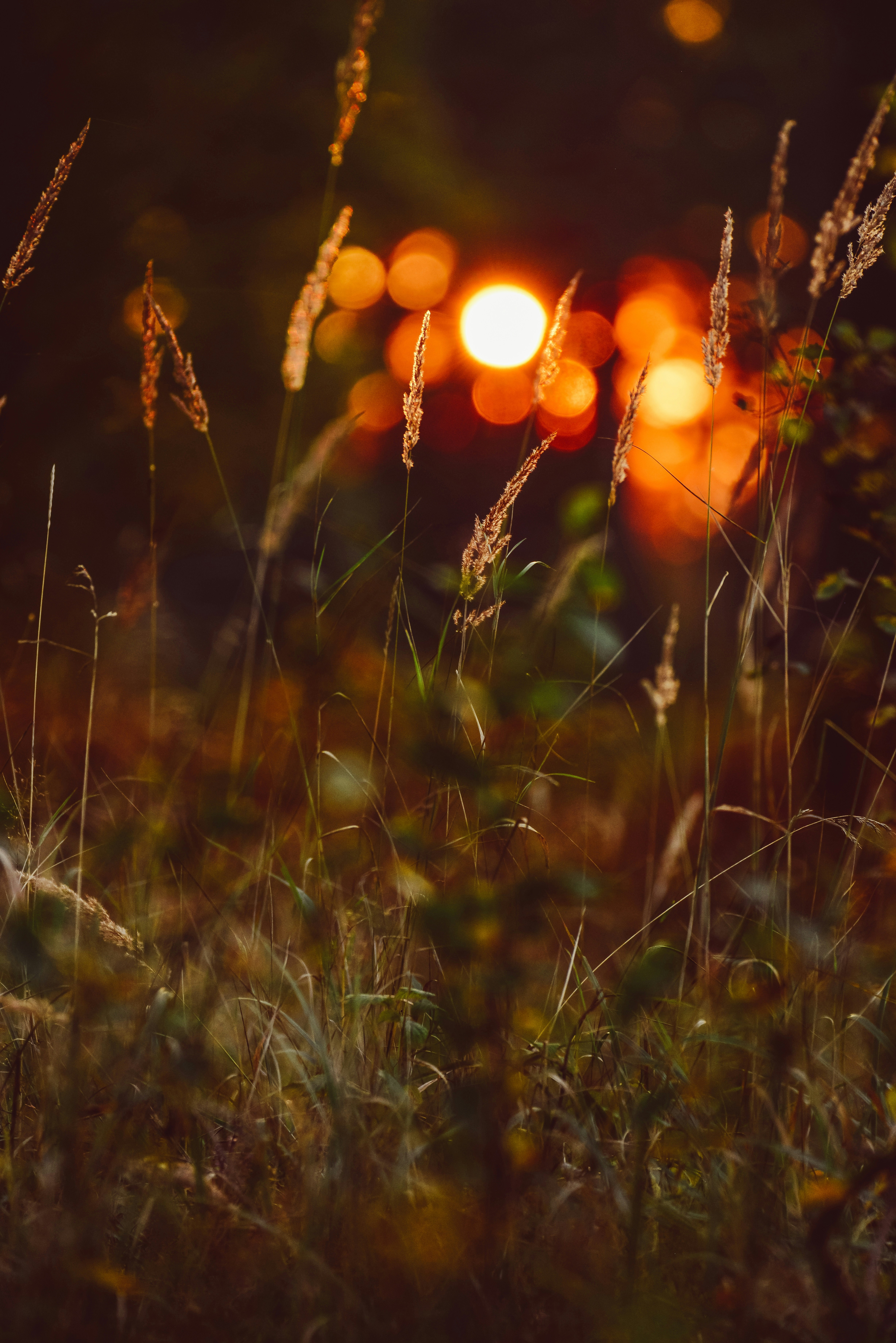 Photo by anitaaustvika