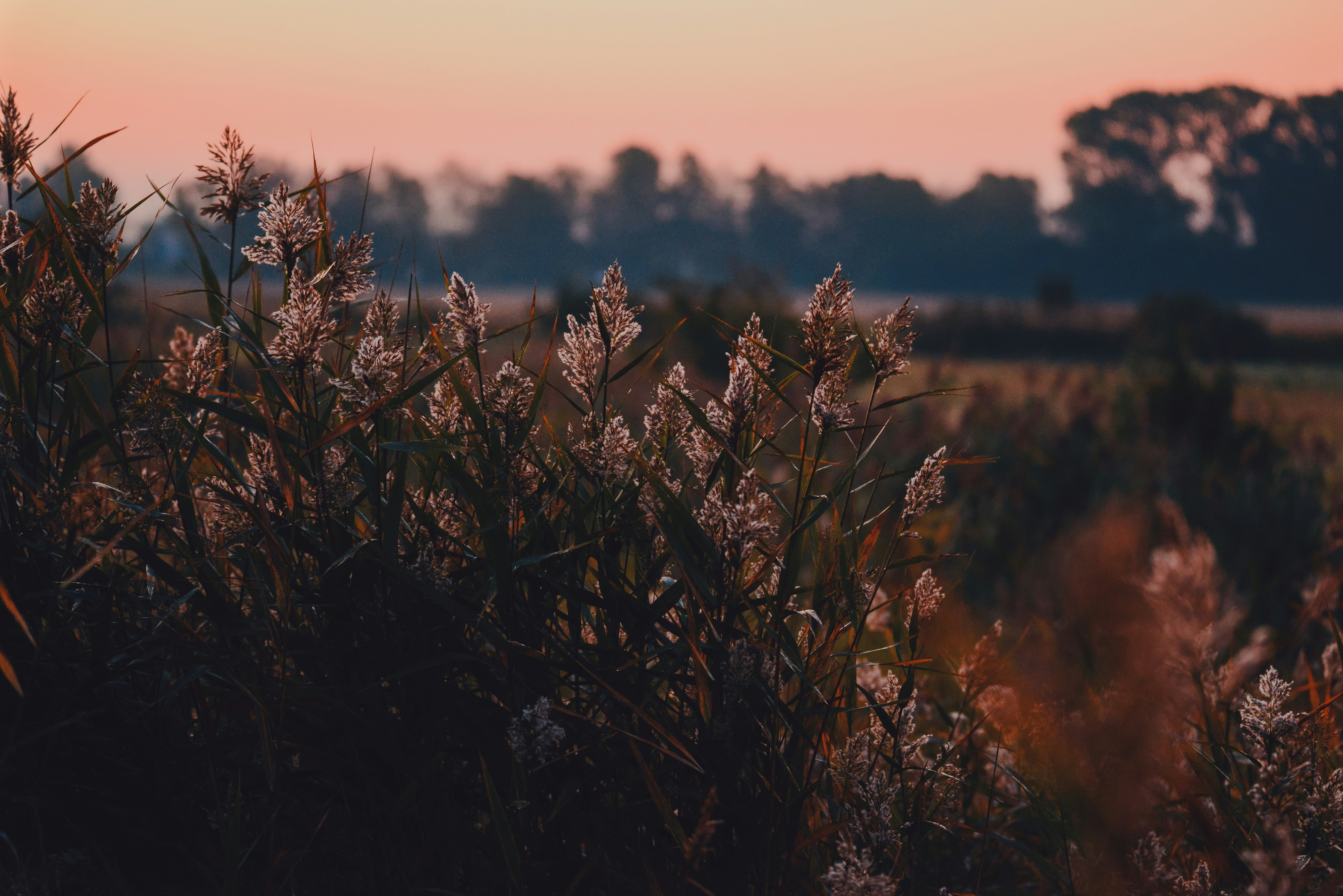 Photo by anitaaustvika