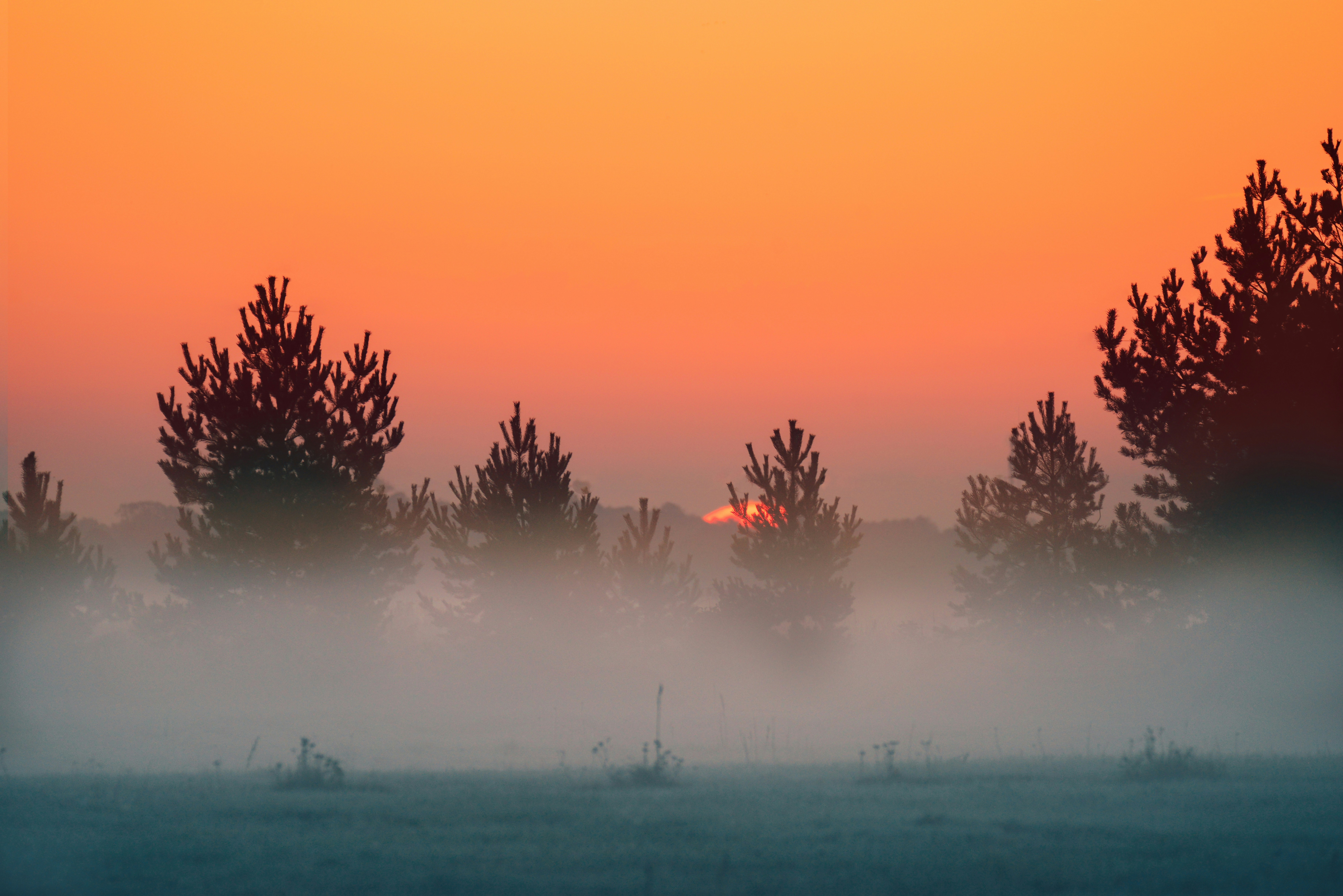 Photo by anitaaustvika