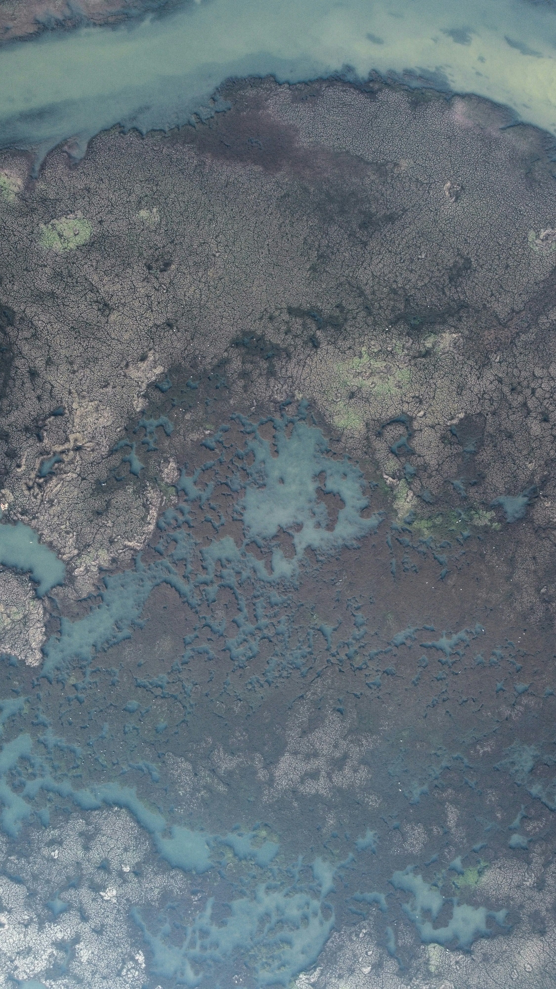 Photo by vencislavsh