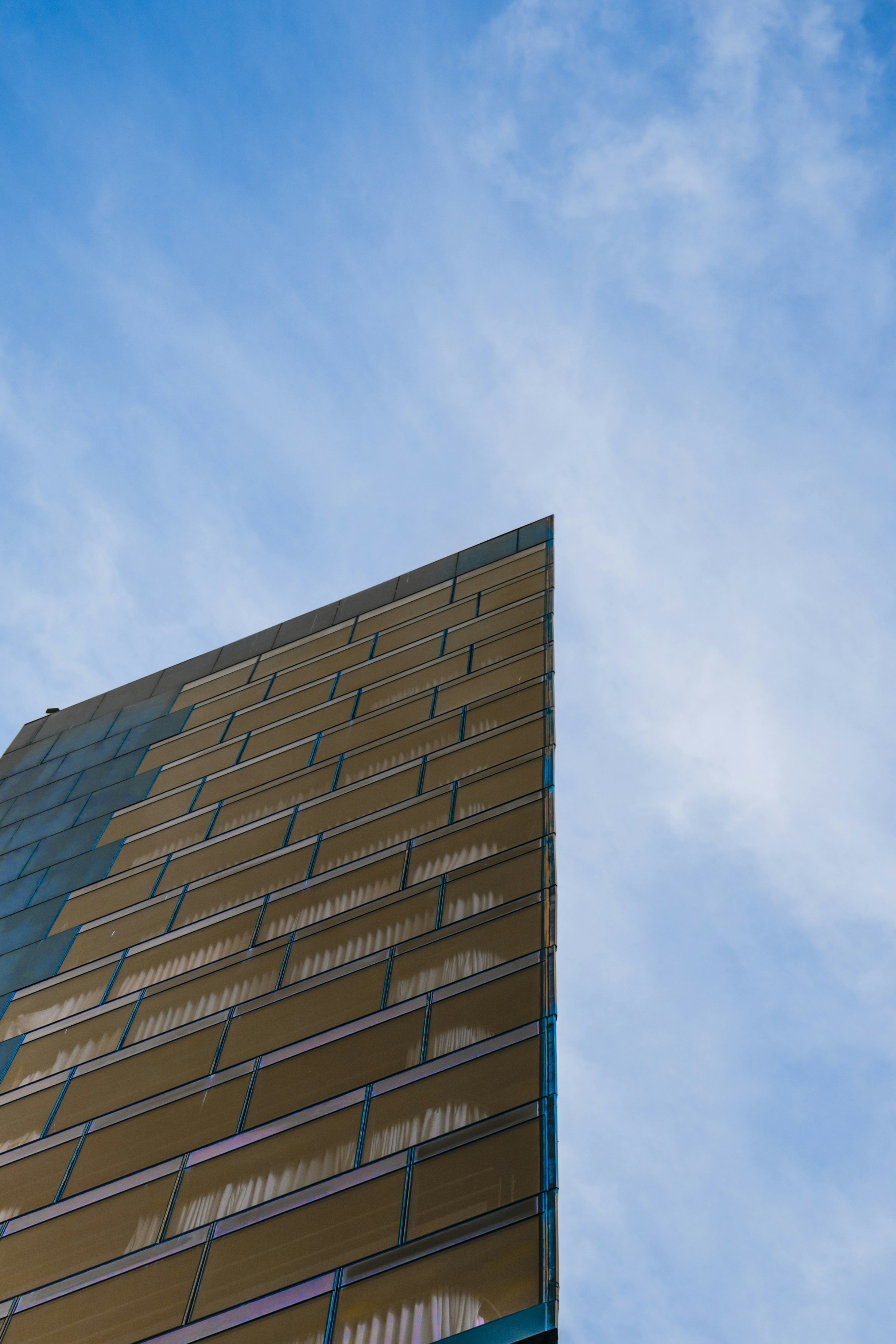 Photo by winstontjia