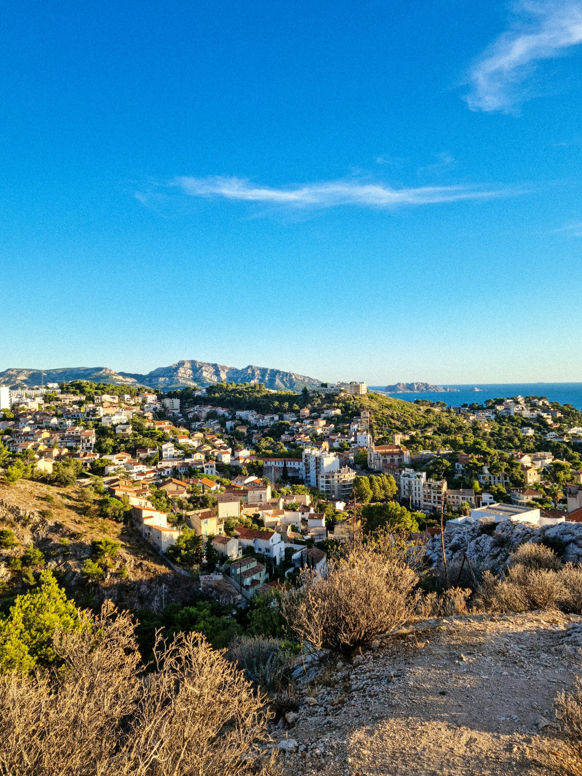 a view of a city from a hill