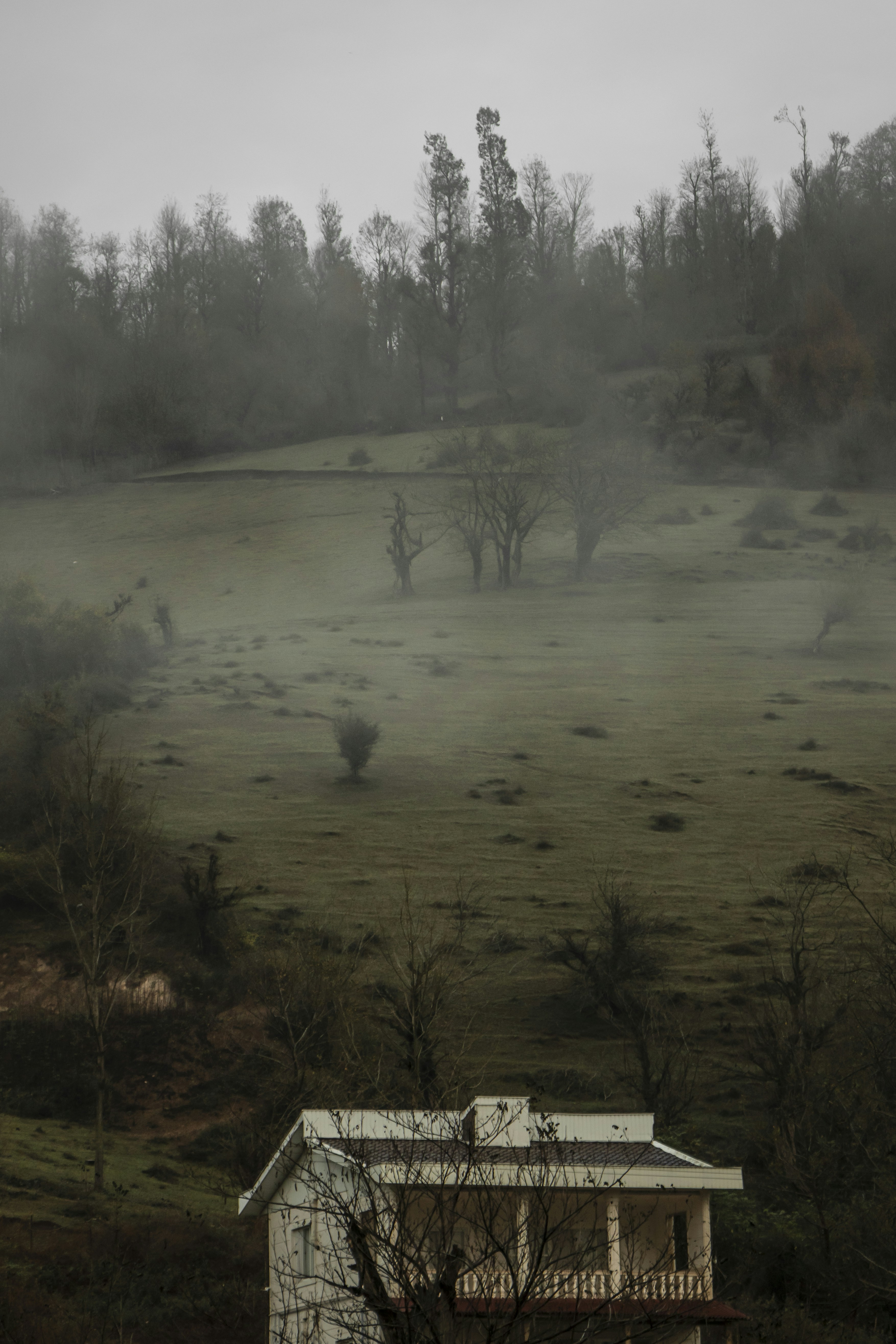 a foggy field with a house in the foreground