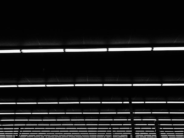 Rows of optical glass elements neatly arranged under bright factory lighting.