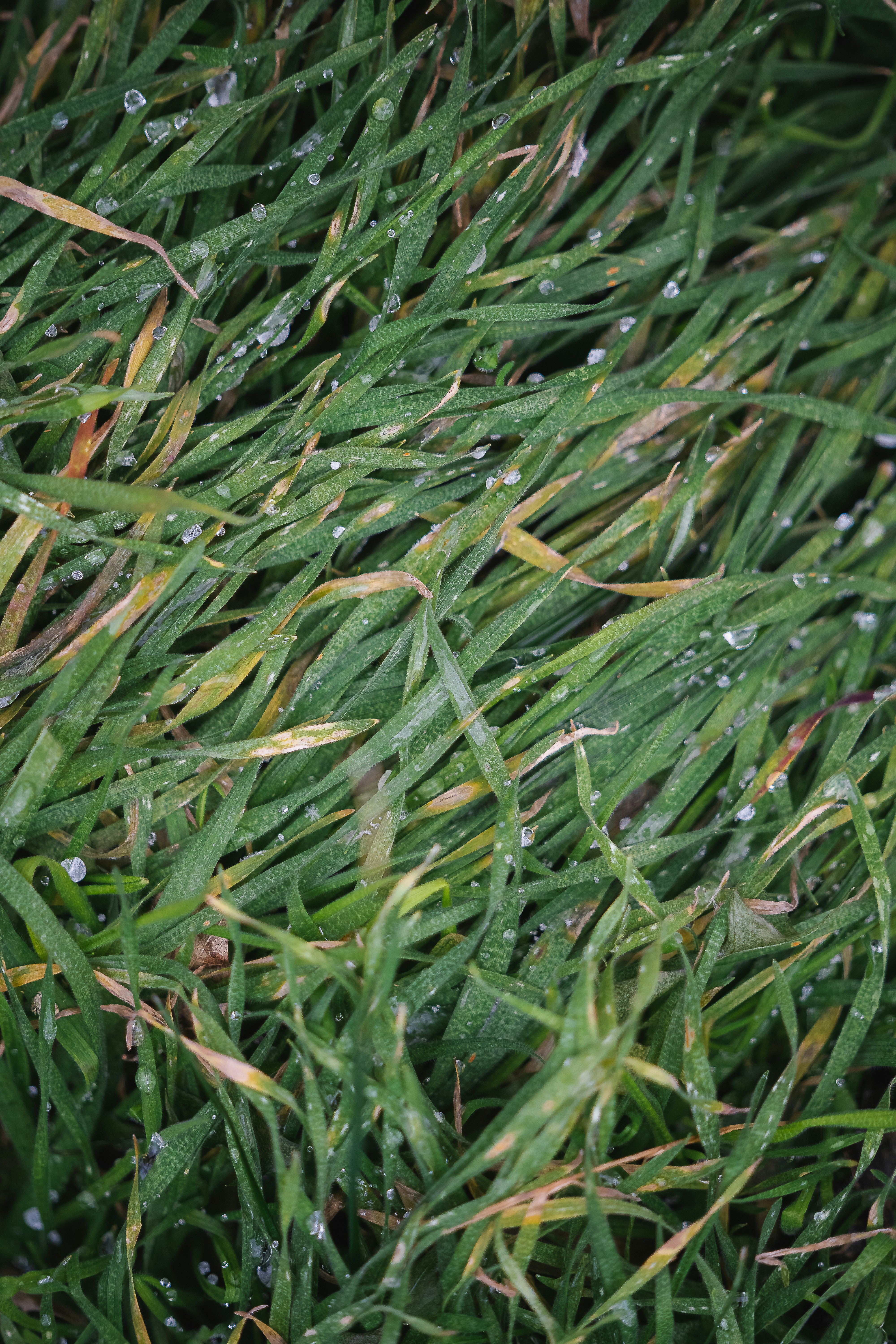 Photo by maksym_tymchyk