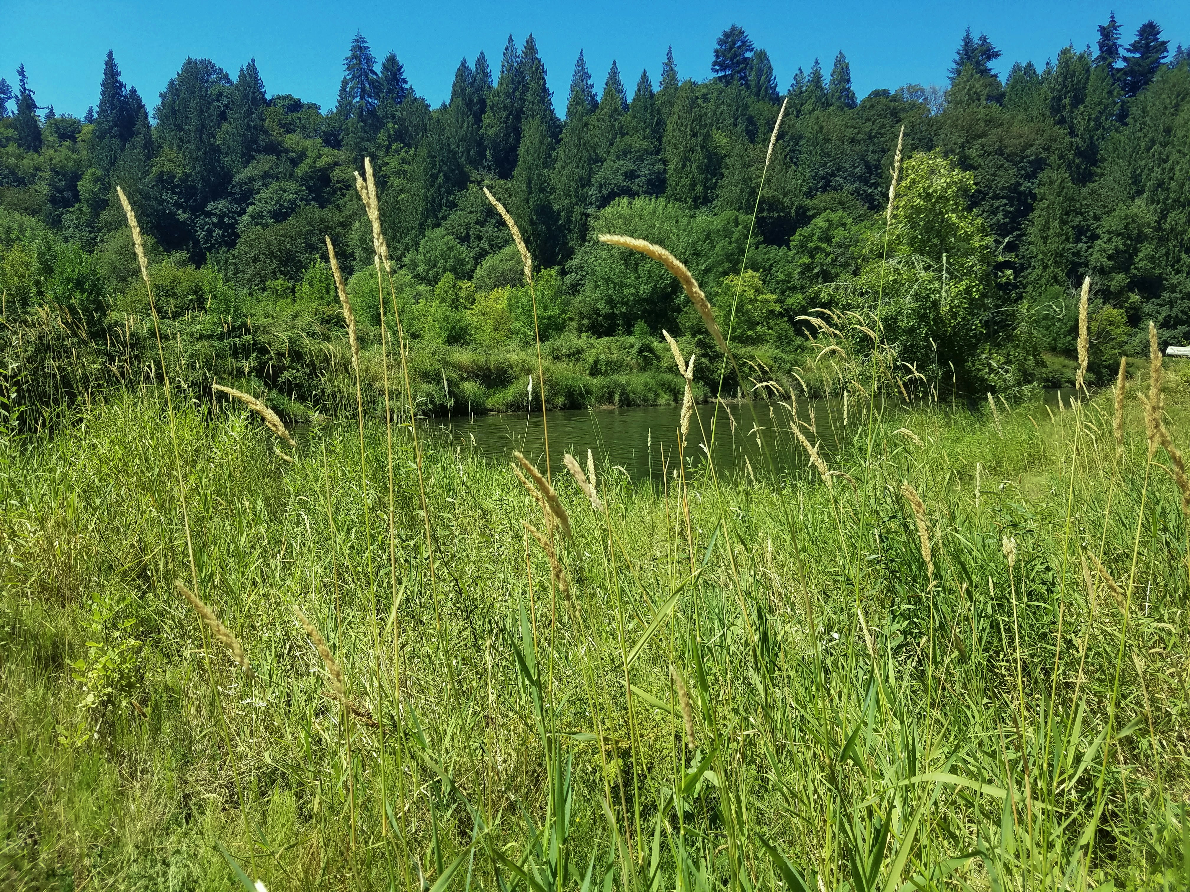 Photo by autumnwhiskers