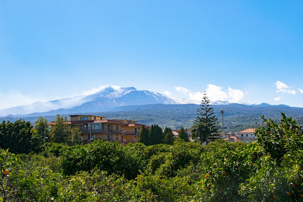 a view of a mountain in the distance with a house in the foreground