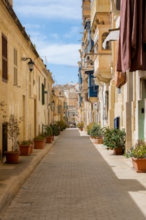 a brick street lined with potted plants