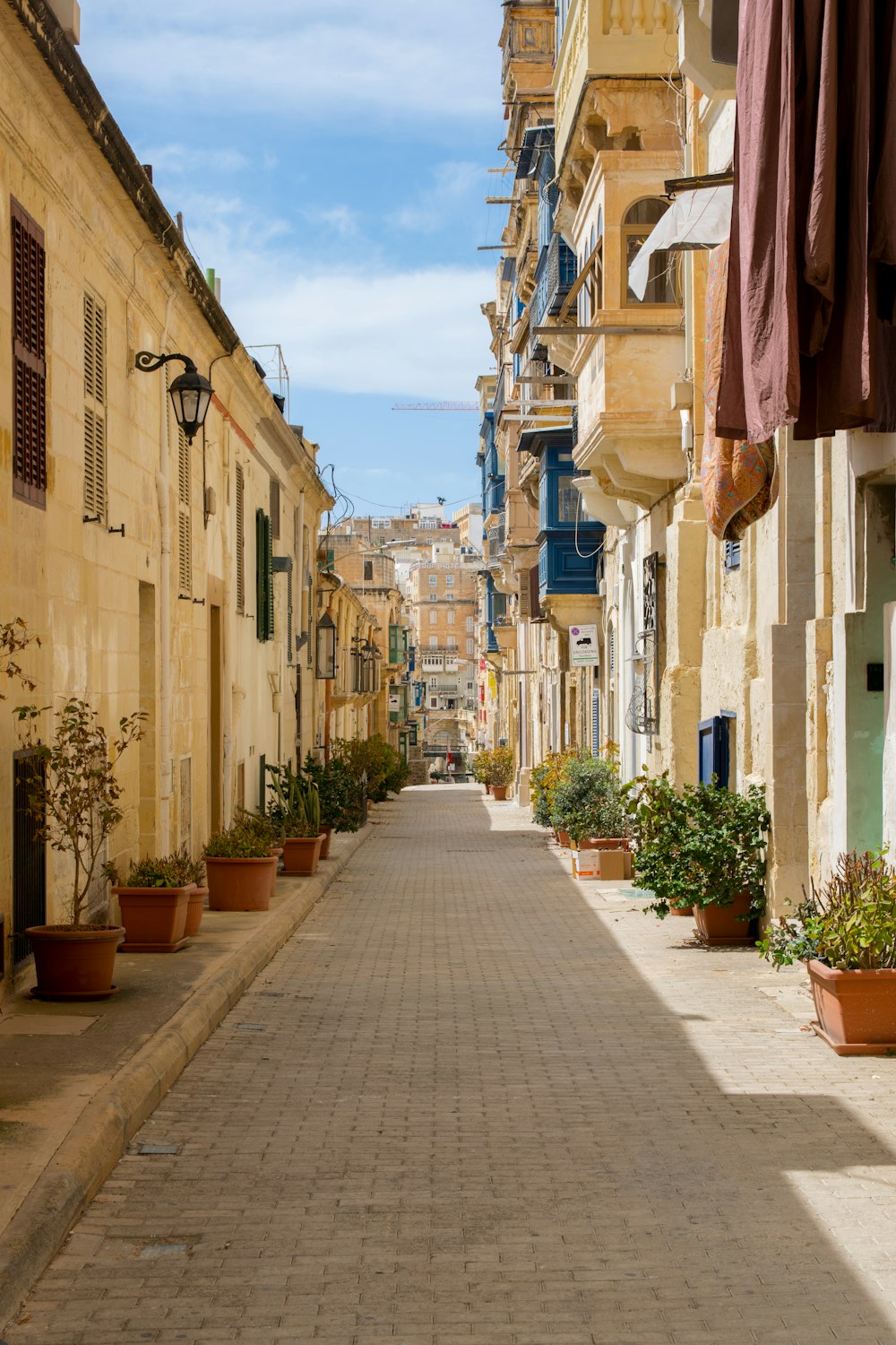 a brick street lined with potted plants