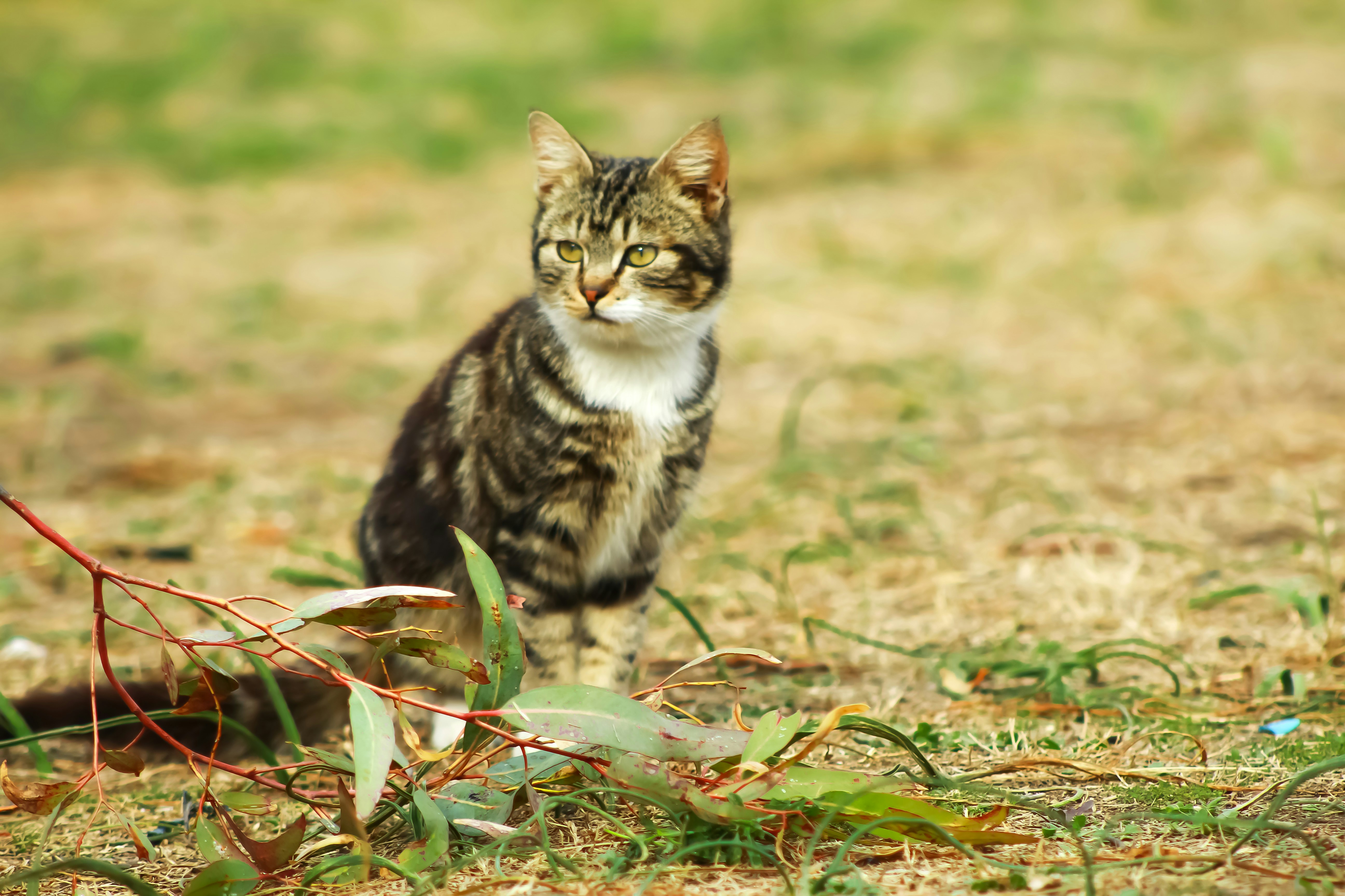 Photo by focalpictures