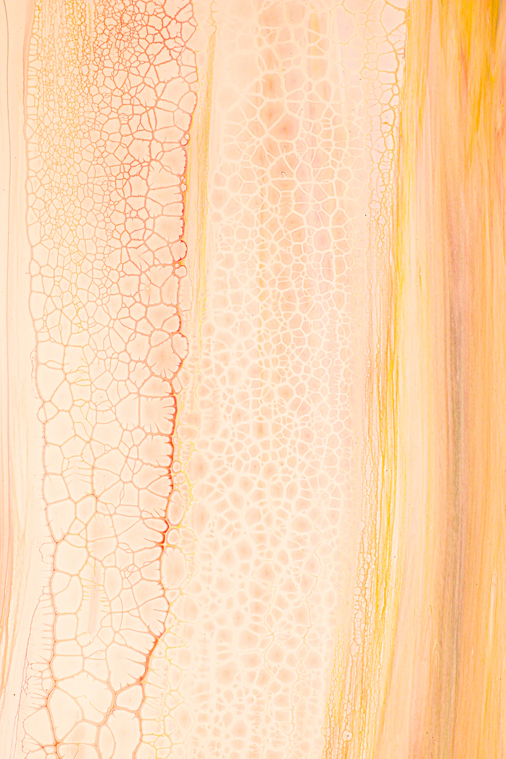 Liquid Collagen vs. Standard Biotin Pills: What the Evidence Shows