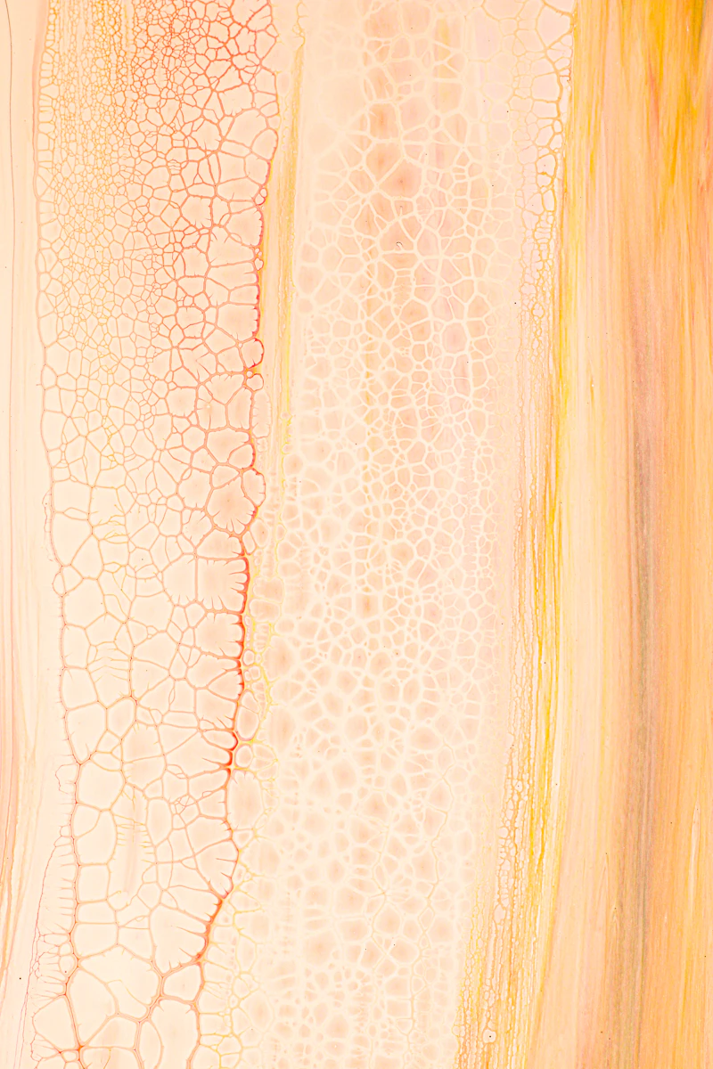Liquid Collagen vs. Standard Biotin Pills: What the Evidence Shows