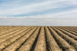 Aerial view of a freshly plowed field ready for planting under a clear blue sky.