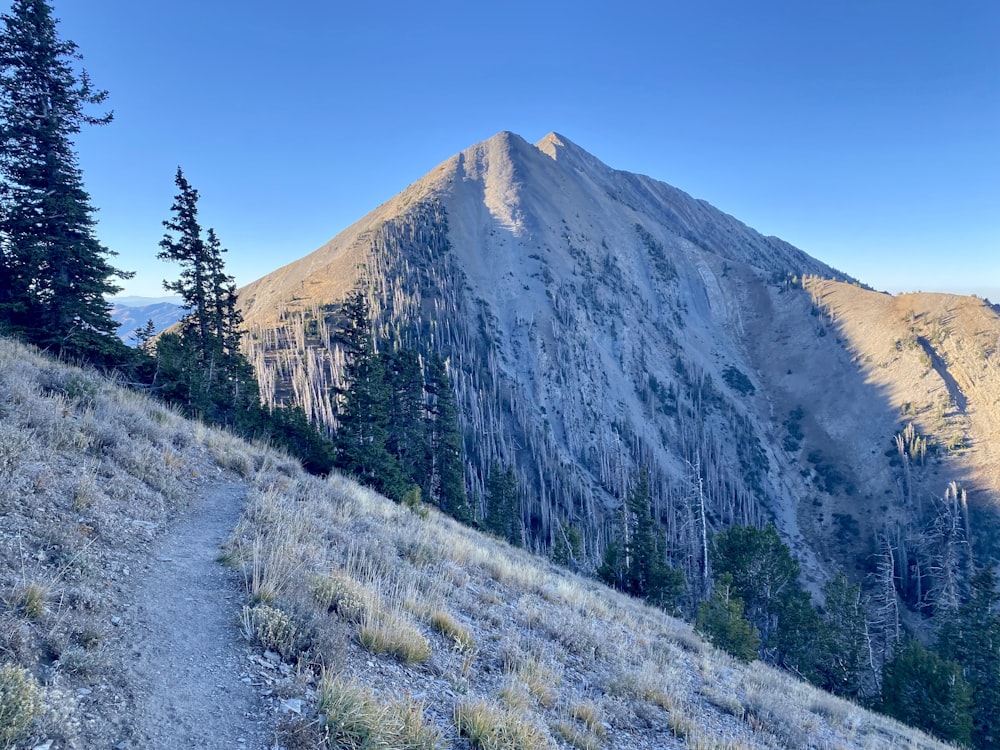 a trail going up a hill with a mountain in the background