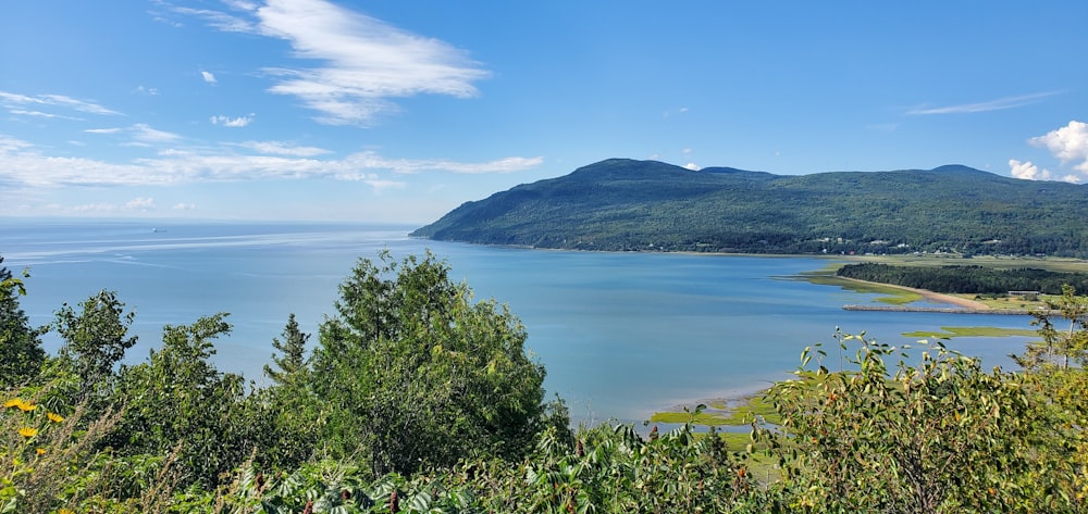 a view of a large body of water with mountains in the background