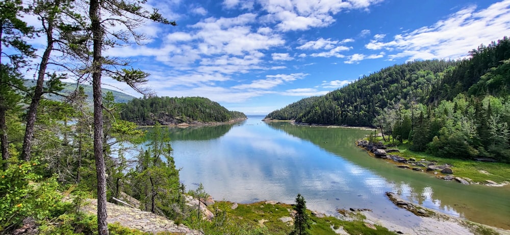 a large body of water surrounded by trees