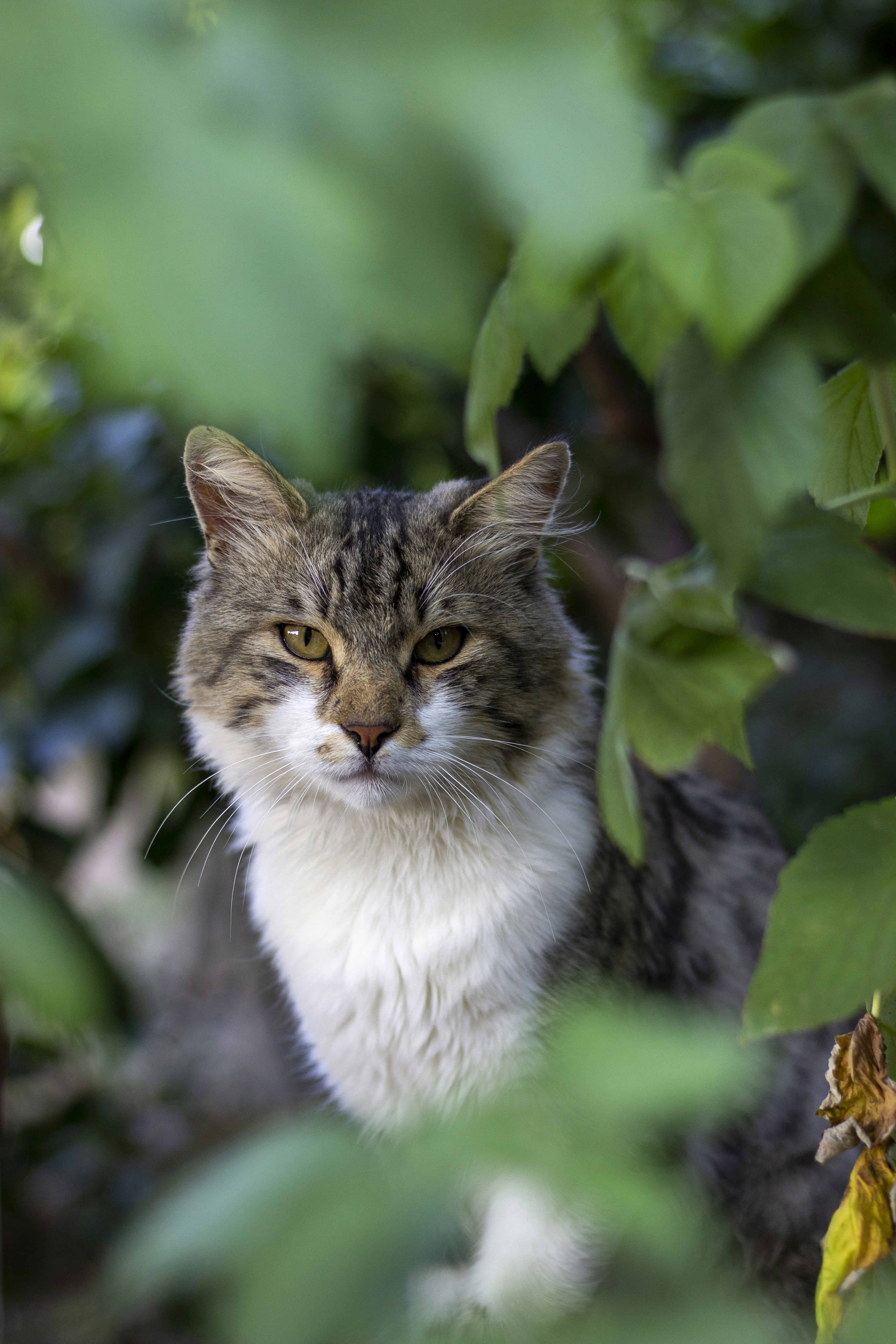 Photo by ahmethakansolak