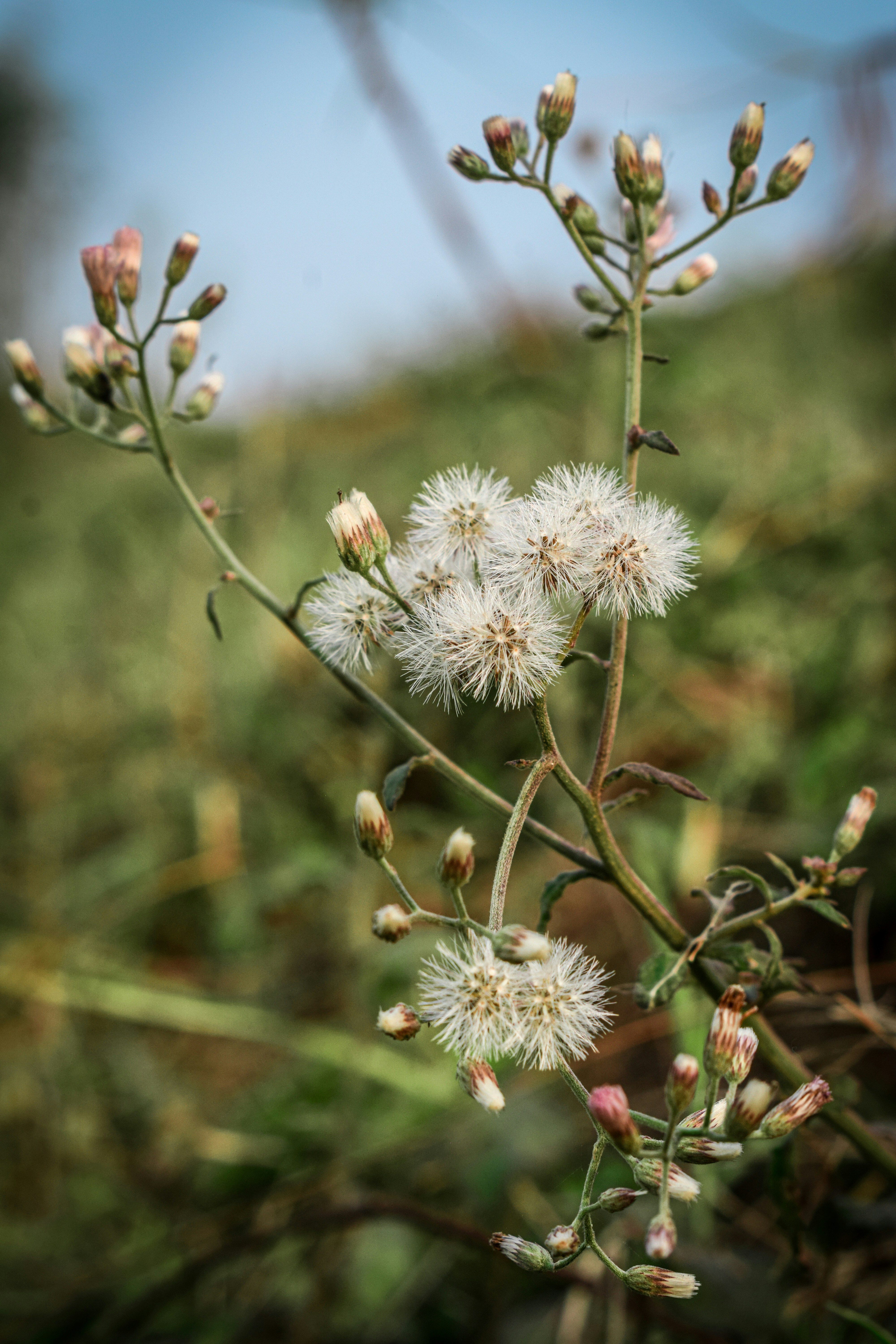 Photo by starkyphotography07