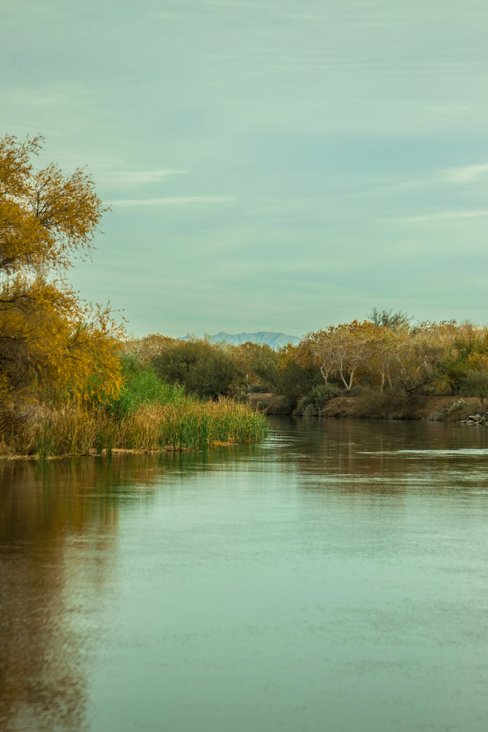 a large body of water surrounded by trees