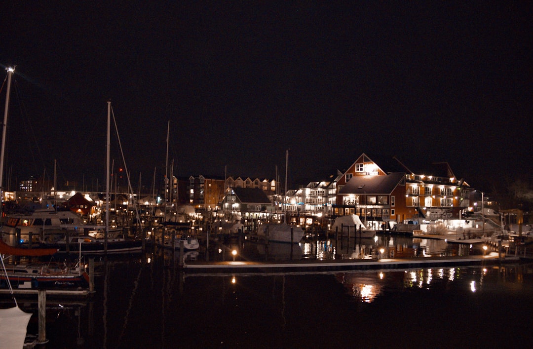 a harbor filled with lots of boats at night,