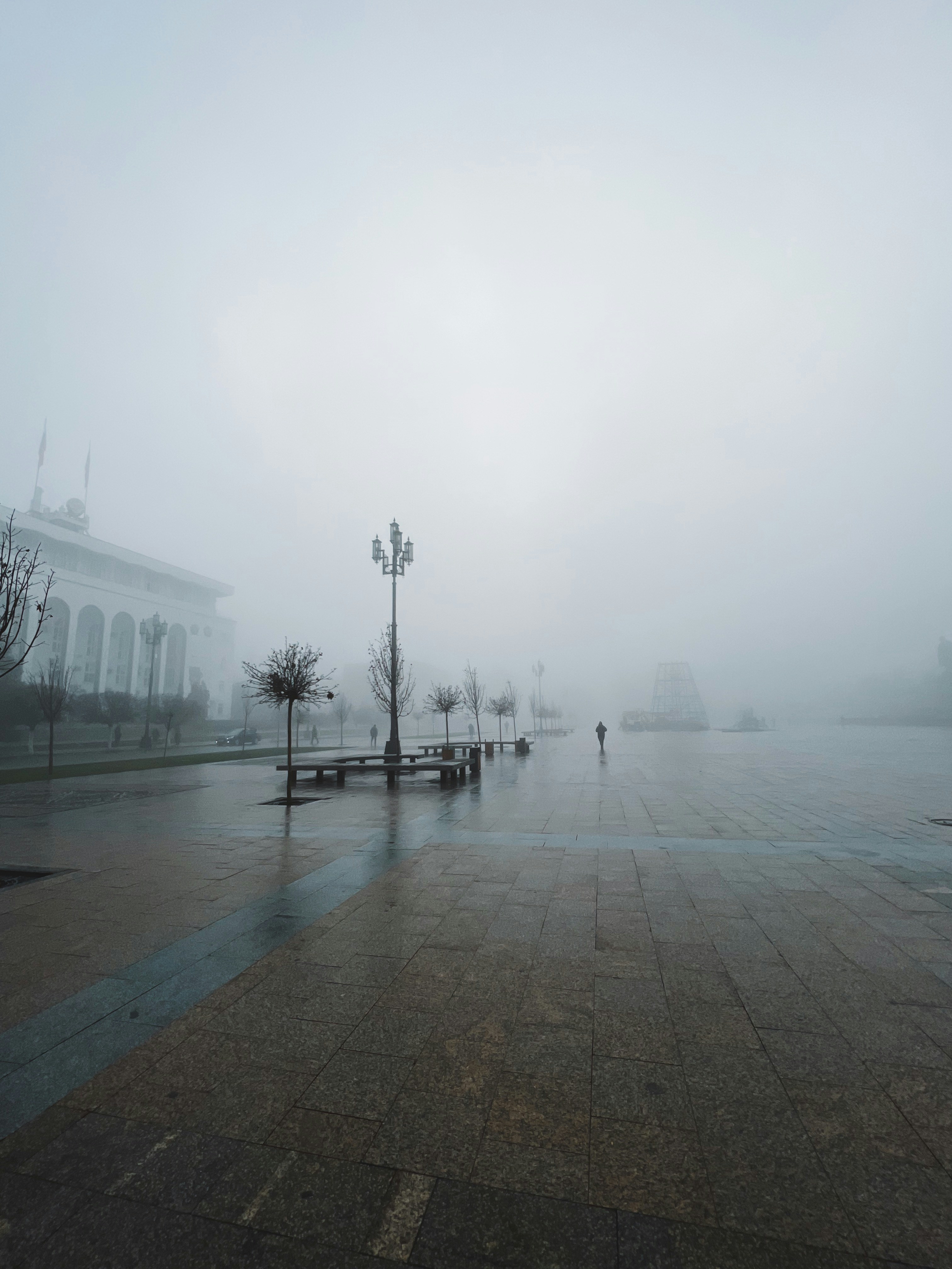 Photo by aronovsky