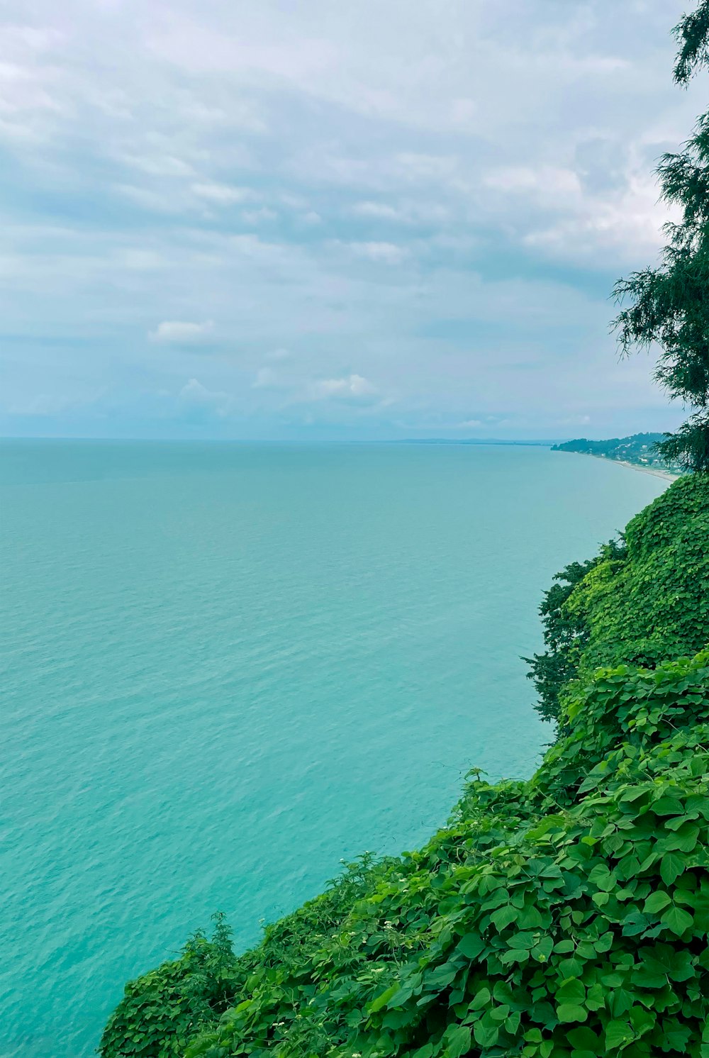 a bench sitting on top of a lush green hillside next to the ocean