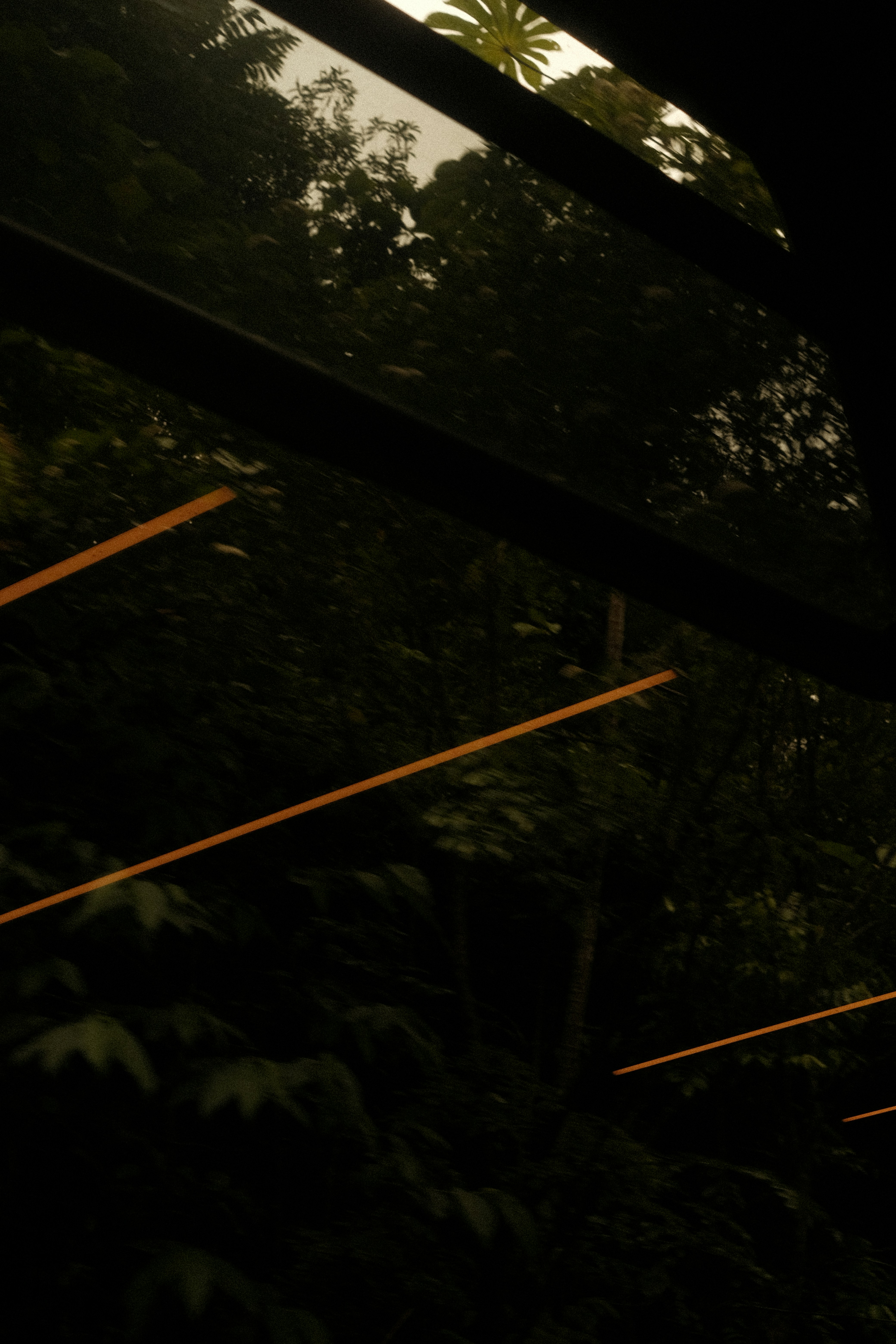 Photo by gabrielreisnf