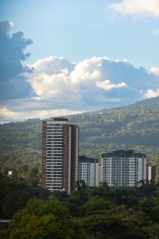 Tall buildings rise among lush greenery, set against a backdrop of rolling hills and a sky filled with large, fluffy clouds. The scene conveys a balance between urban development and natural landscape.