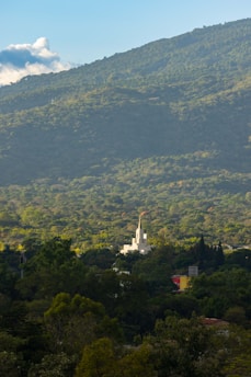 A white church with a tall spire is situated amidst a dense, green forest. In the background, a large mountain under a clear blue sky is visible, with a few clouds adding contrast. The scene is bathed in warm, late-afternoon sunlight that highlights the rich textures of the landscape.