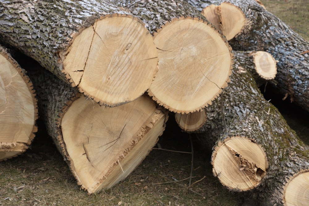 a pile of cut logs sitting on top of a grass covered field