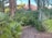 A lush garden scene with various green plants and trees, including palm trees and small shrubs. The garden bed is lined with gravel and there are some clay bricks visible. In the background, red-tiled rooftops rise behind a concrete wall.