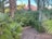 A lush garden scene with various green plants and trees, including palm trees and small shrubs. The garden bed is lined with gravel and there are some clay bricks visible. In the background, red-tiled rooftops rise behind a concrete wall.