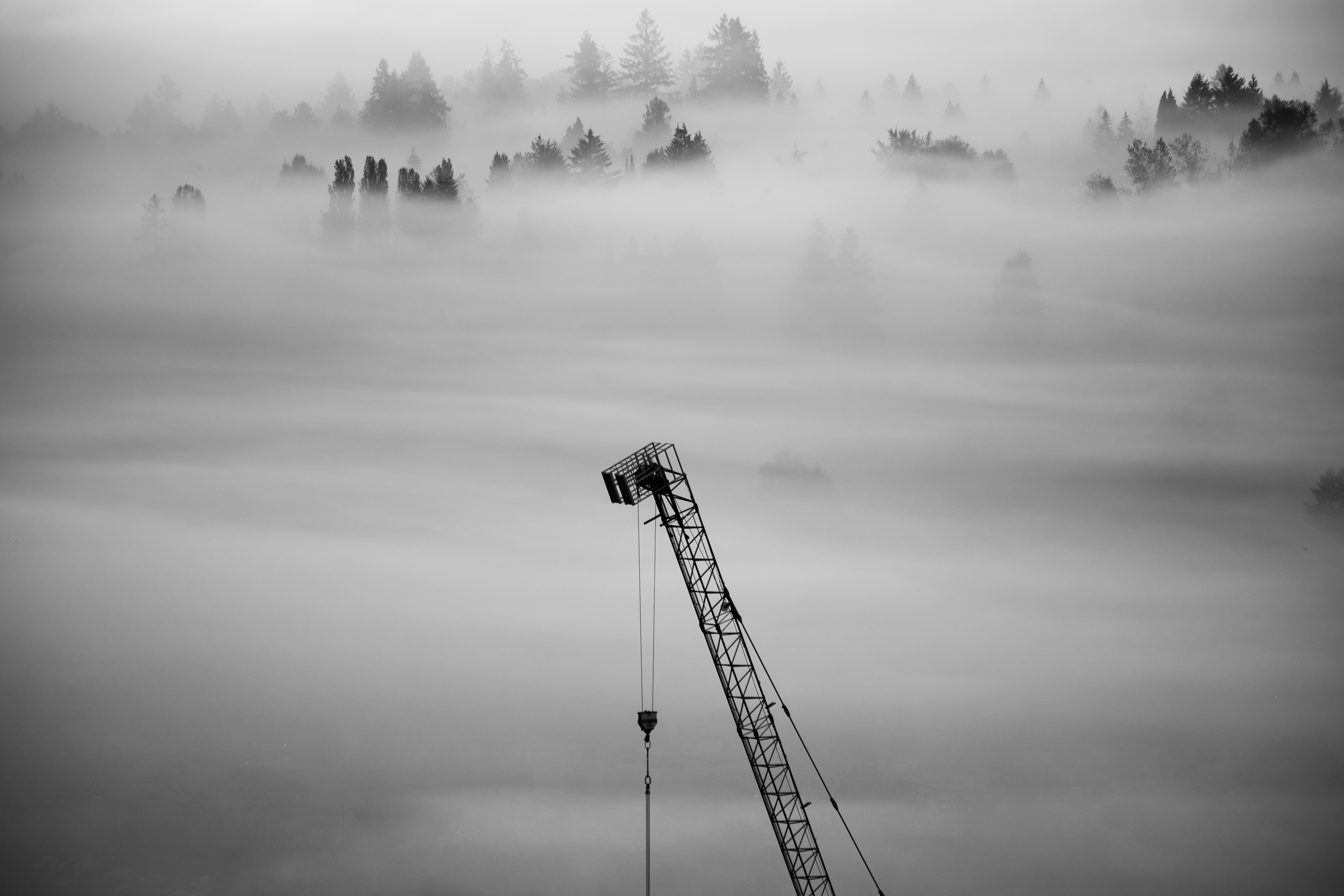 Ein Feuerwehrauto mitten in einem nebligen Wald