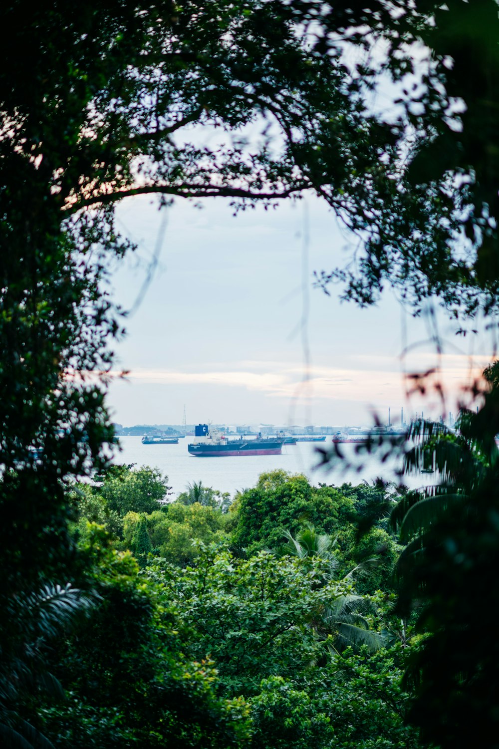 a large cargo ship is in the distance from a forested area