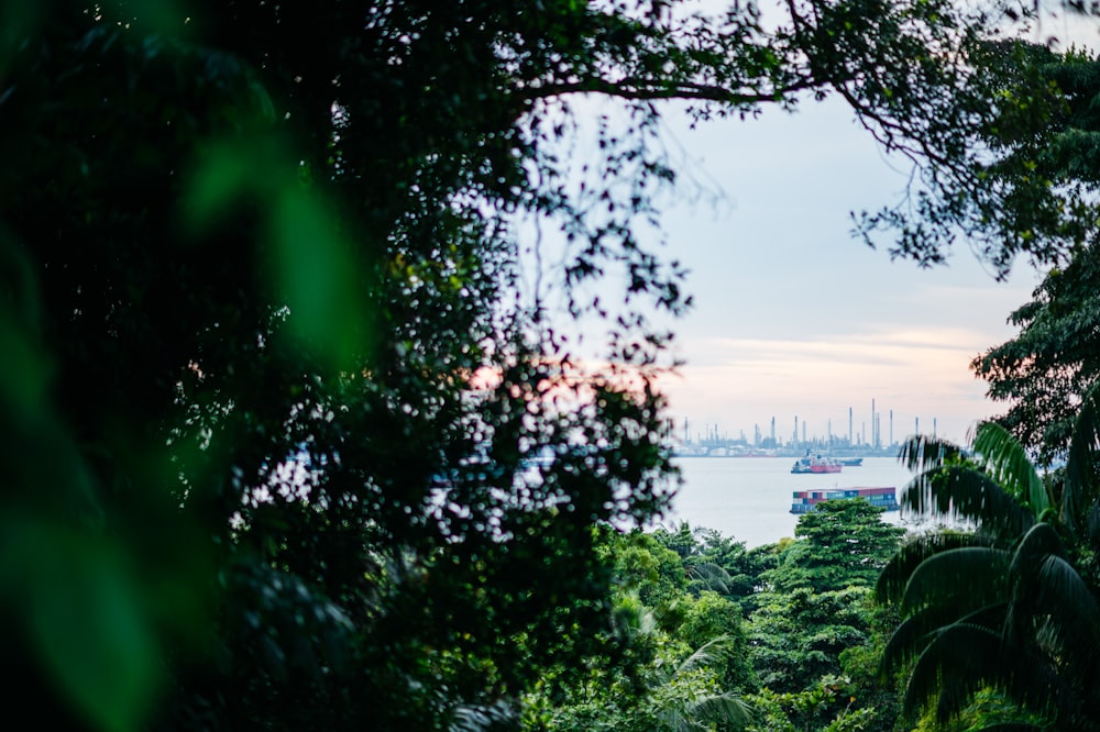 a view of a body of water through some trees