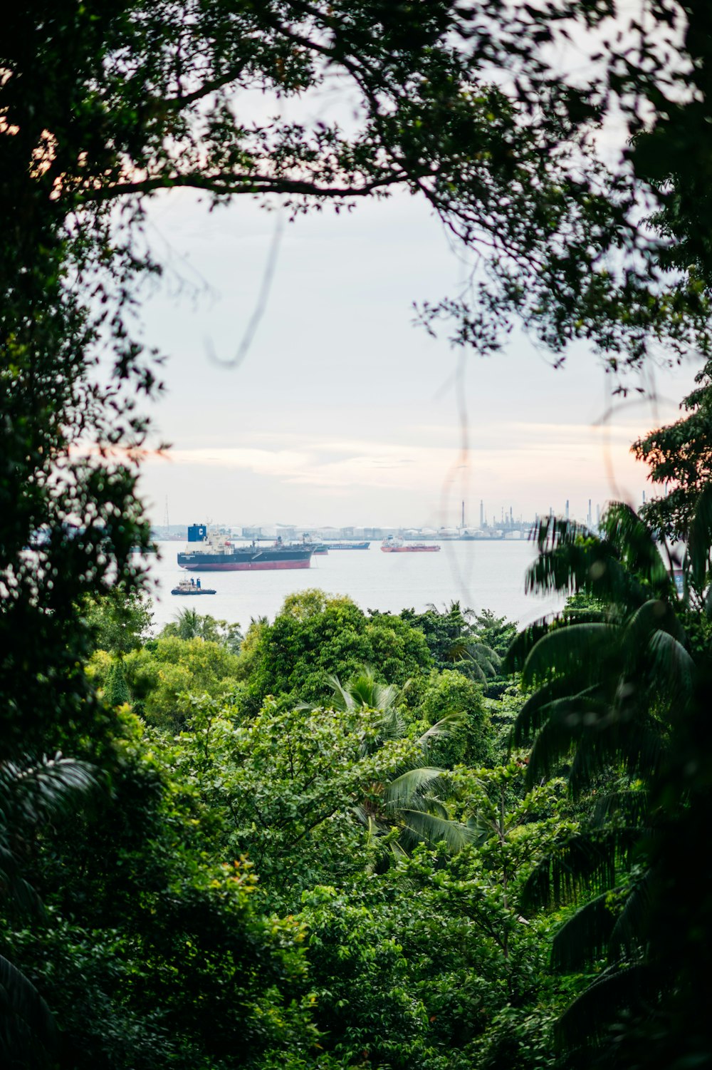 a view of a boat in the water through trees