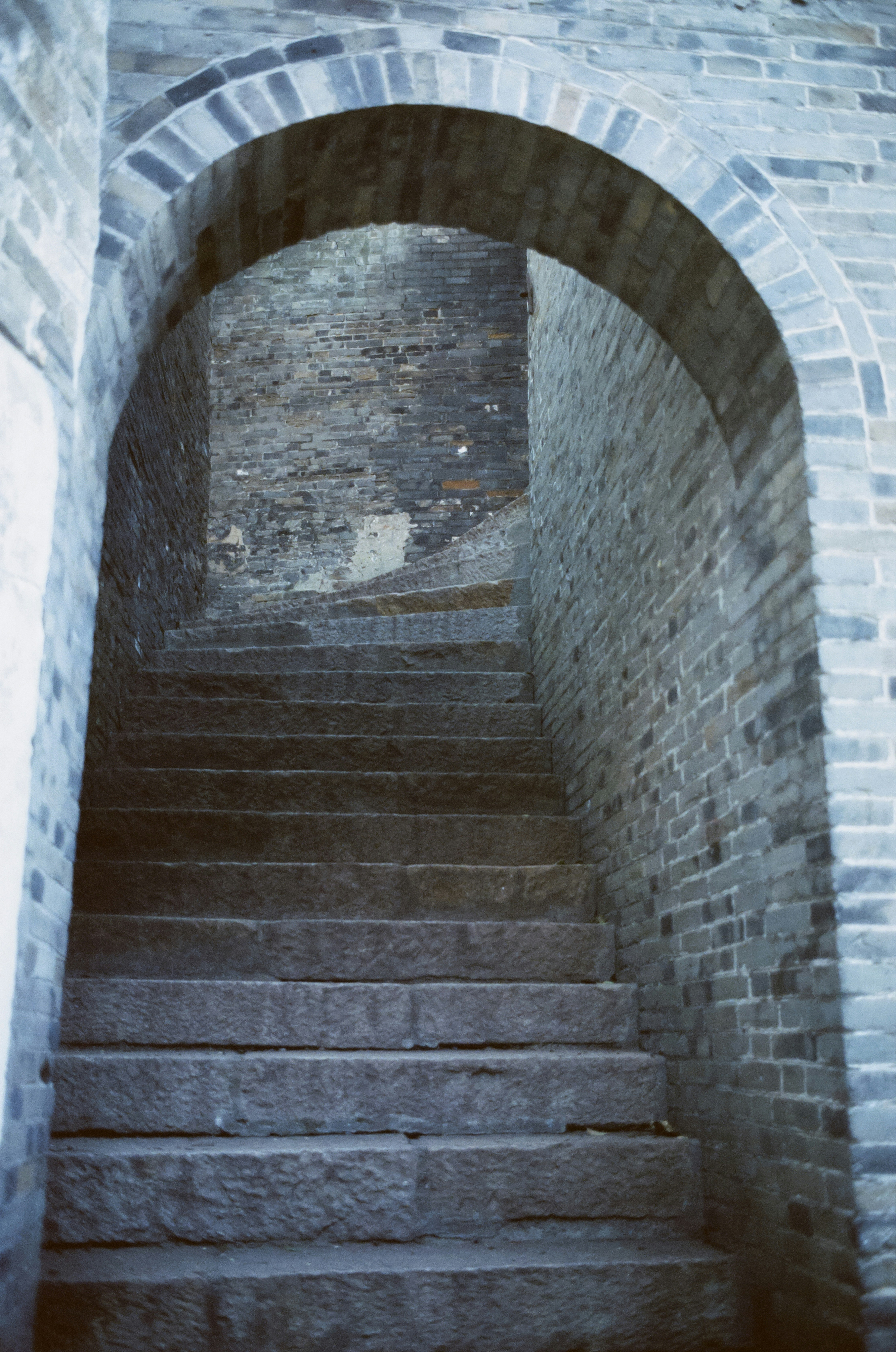 Photo by geraltyichen