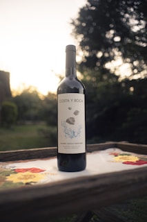 A bottle of wine labeled 'Costa y Roca' is placed on a wooden surface with an embroidered cloth featuring colorful floral designs. The background shows a blurred, sunlit garden with trees and bushes.