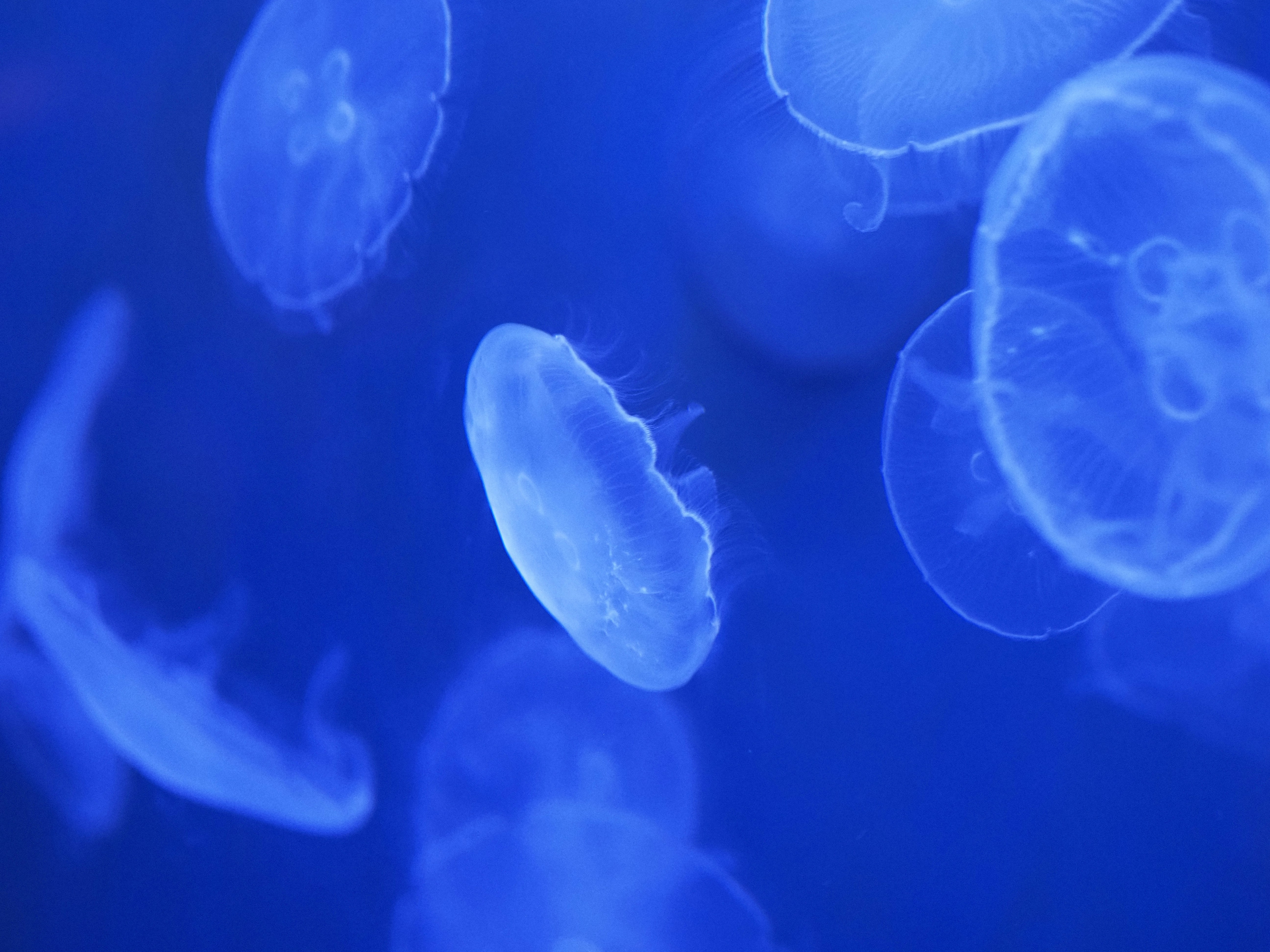 Photo by sergey_photos