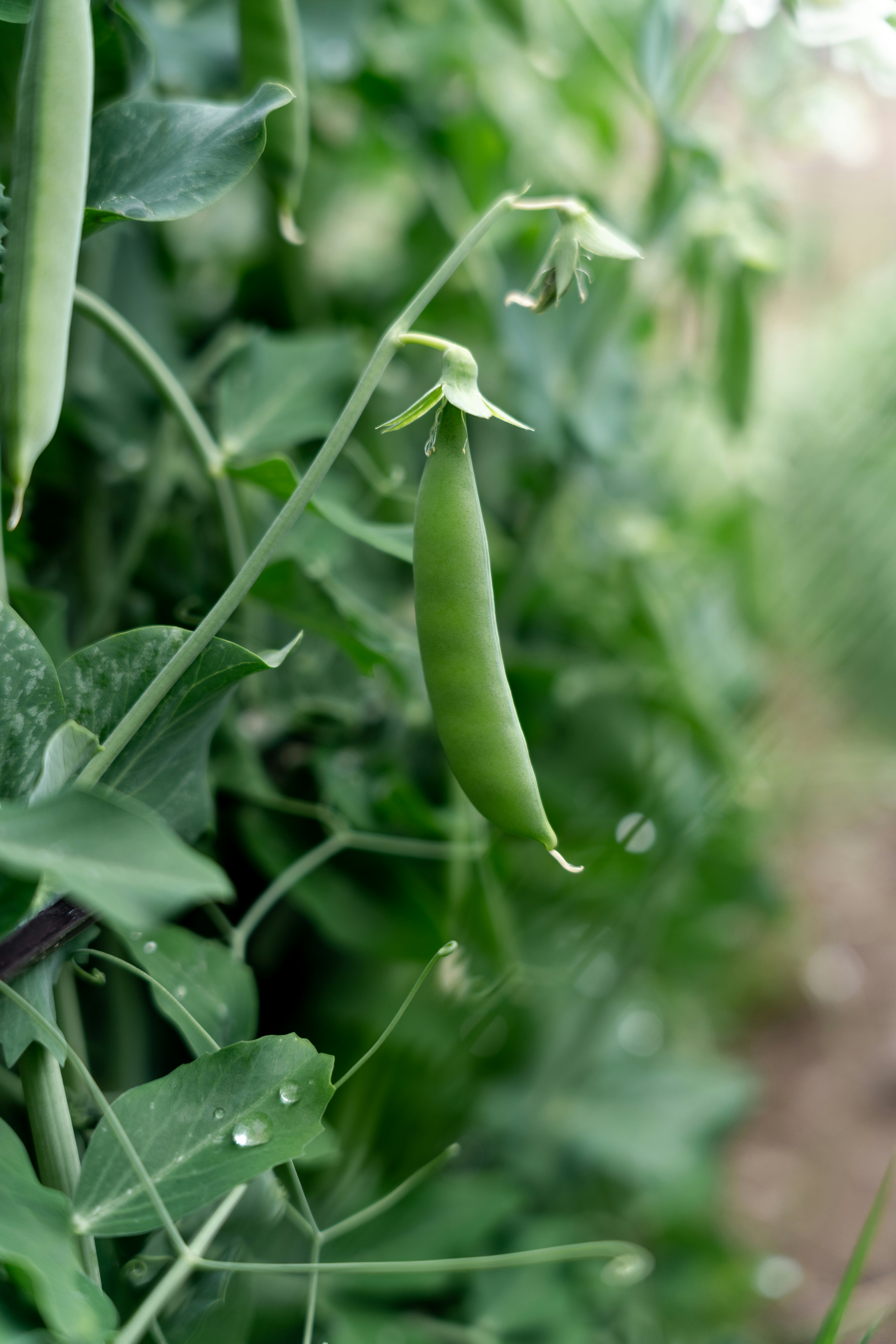 Photo by victorduenas